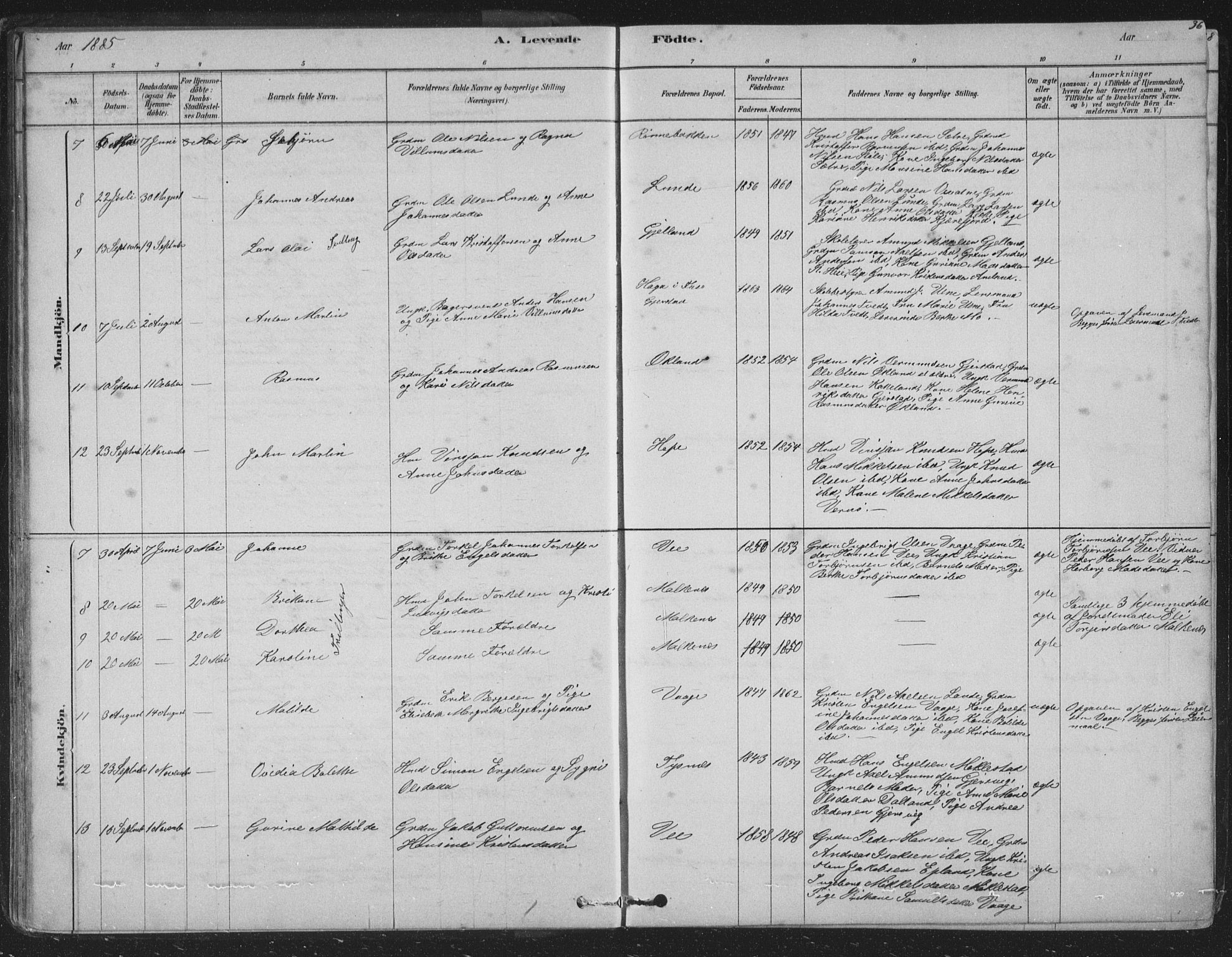 Tysnes sokneprestembete, AV/SAB-A-78601/H/Hab: Parish register (copy) no. B 2, 1878-1918, p. 36