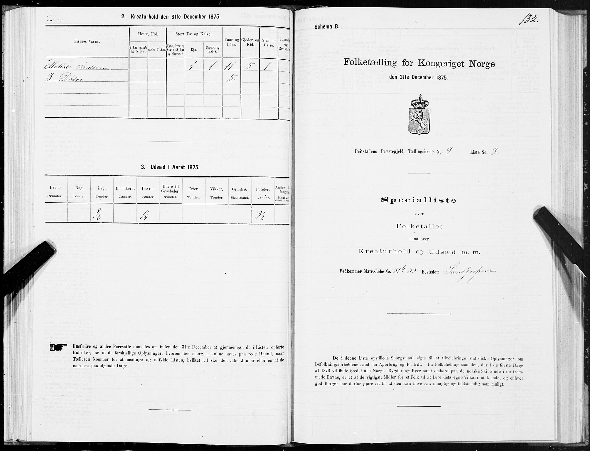 SAT, 1875 census for 1727P Beitstad, 1875, p. 6132