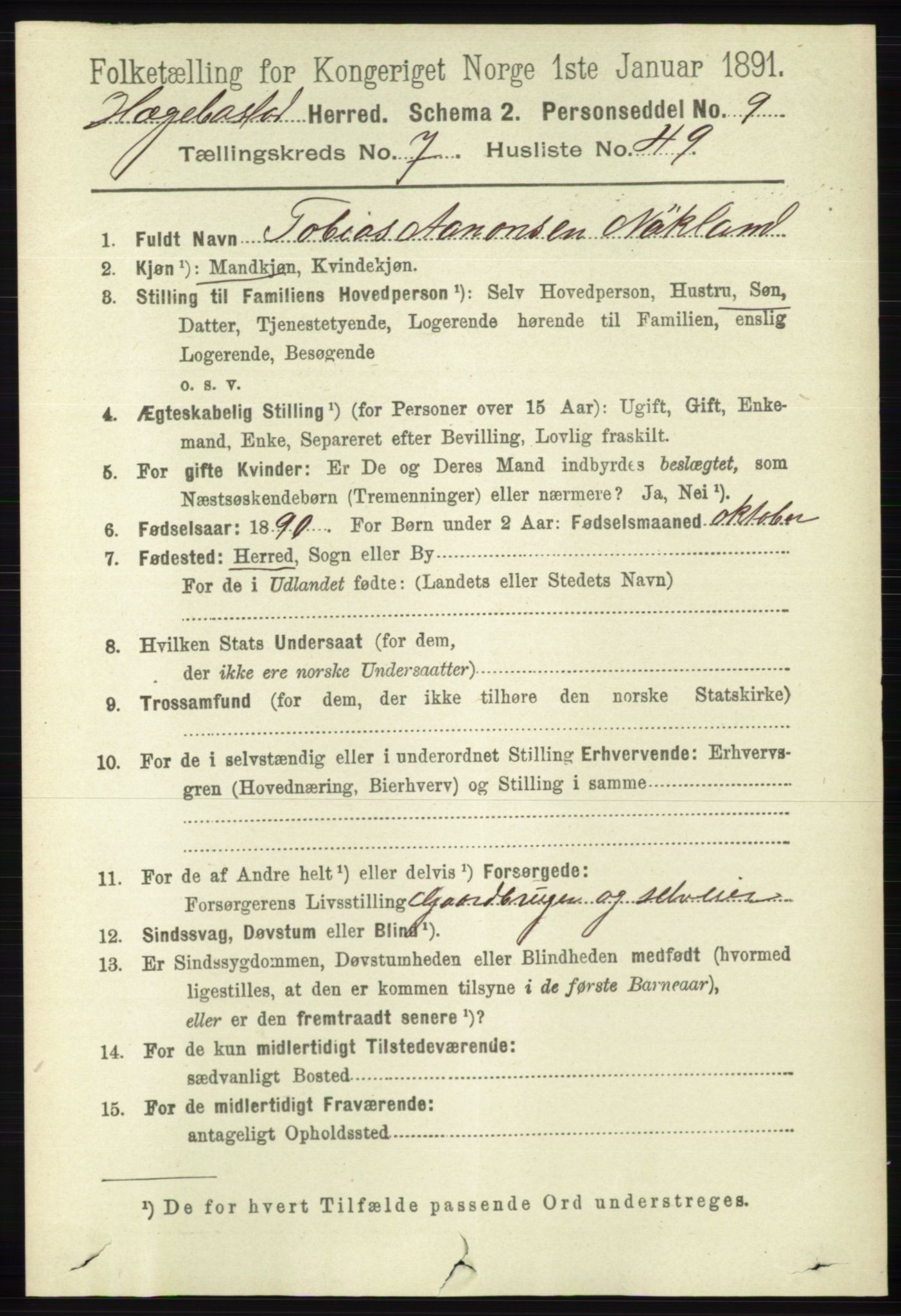 RA, 1891 census for 1034 Hægebostad, 1891, p. 2412