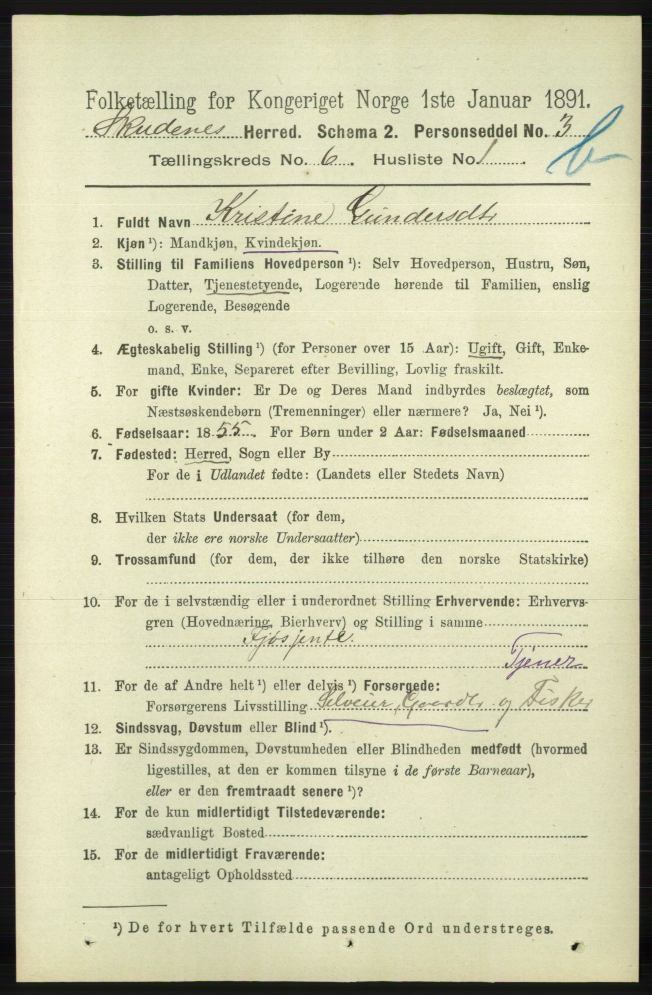 RA, 1891 census for 1150 Skudenes, 1891, p. 5594