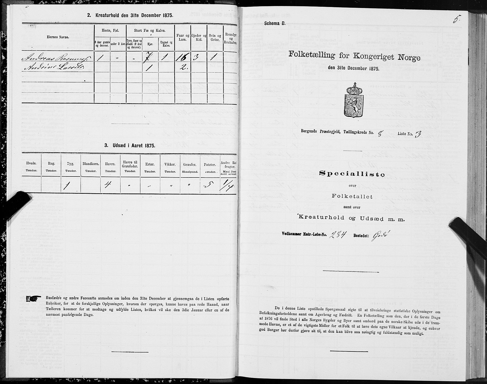 SAT, 1875 census for 1531P Borgund, 1875, p. 5005