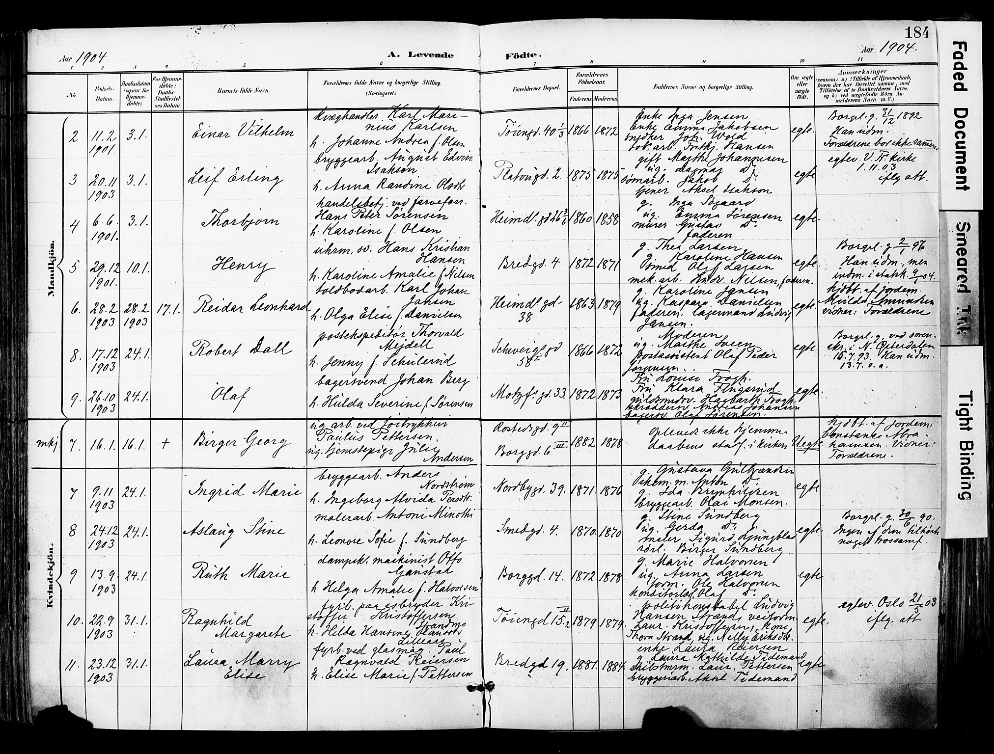 Grønland prestekontor Kirkebøker, SAO/A-10848/F/Fa/L0014: Parish register (official) no. 14, 1900-1911, p. 184