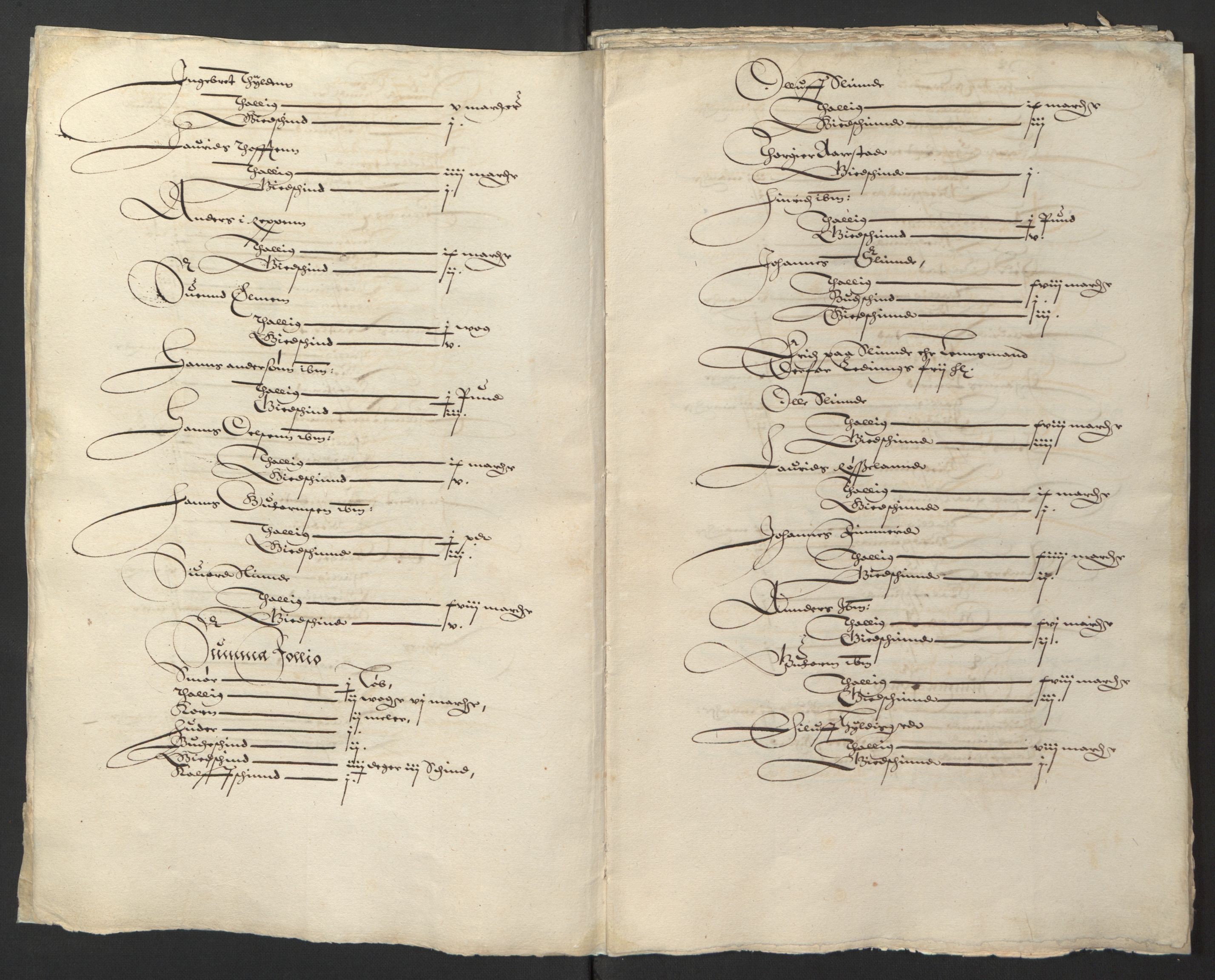 Stattholderembetet 1572-1771, AV/RA-EA-2870/Ek/L0003/0001: Jordebøker til utlikning av garnisonsskatt 1624-1626: / Jordebøker for Bergenhus len, 1624-1625, p. 119