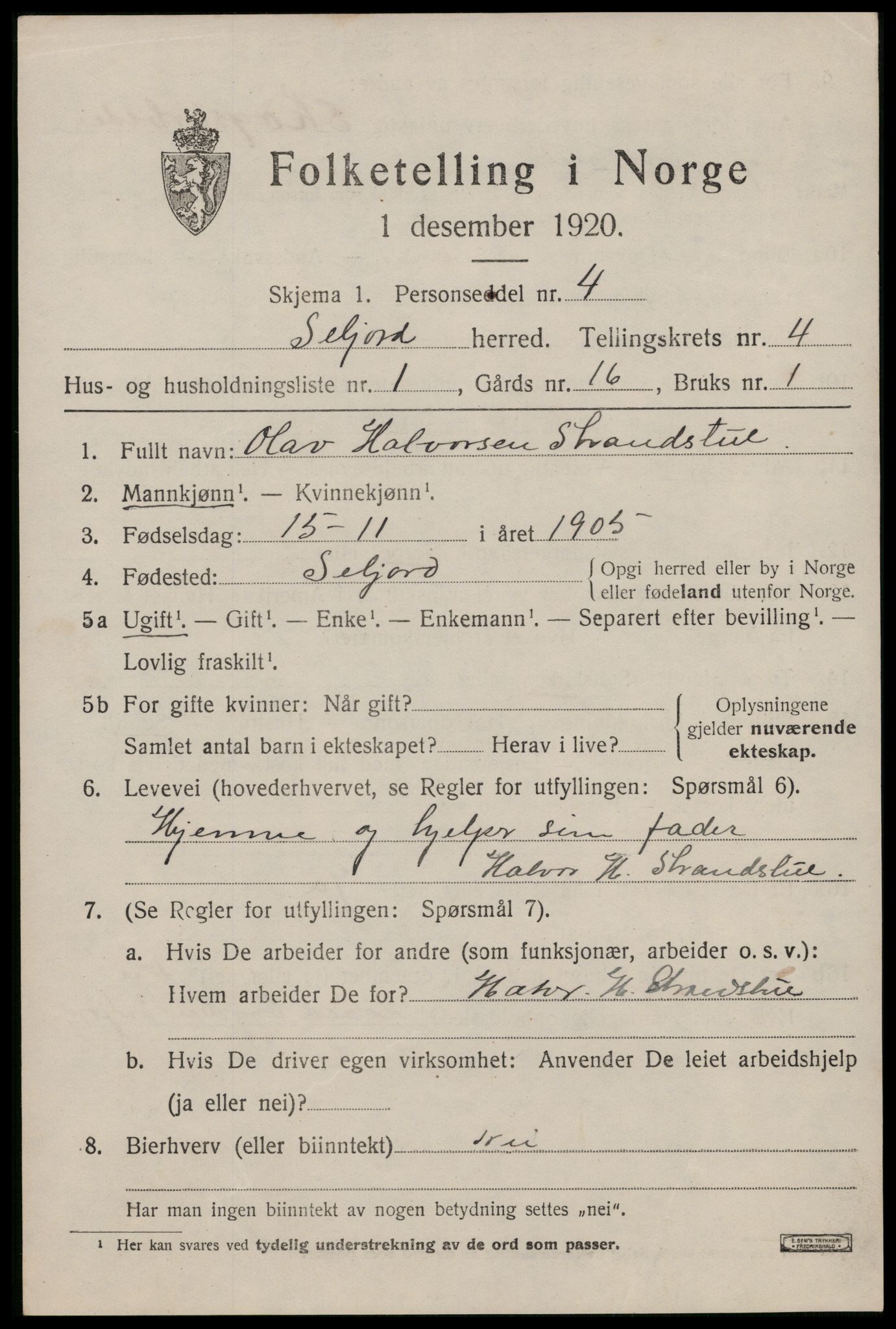 SAKO, 1920 census for Seljord, 1920, p. 2096