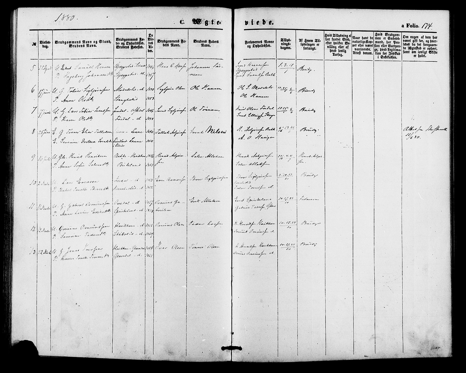 Bakke sokneprestkontor, SAK/1111-0002/F/Fa/Faa/L0007: Parish register (official) no. A 7, 1877-1886, p. 174