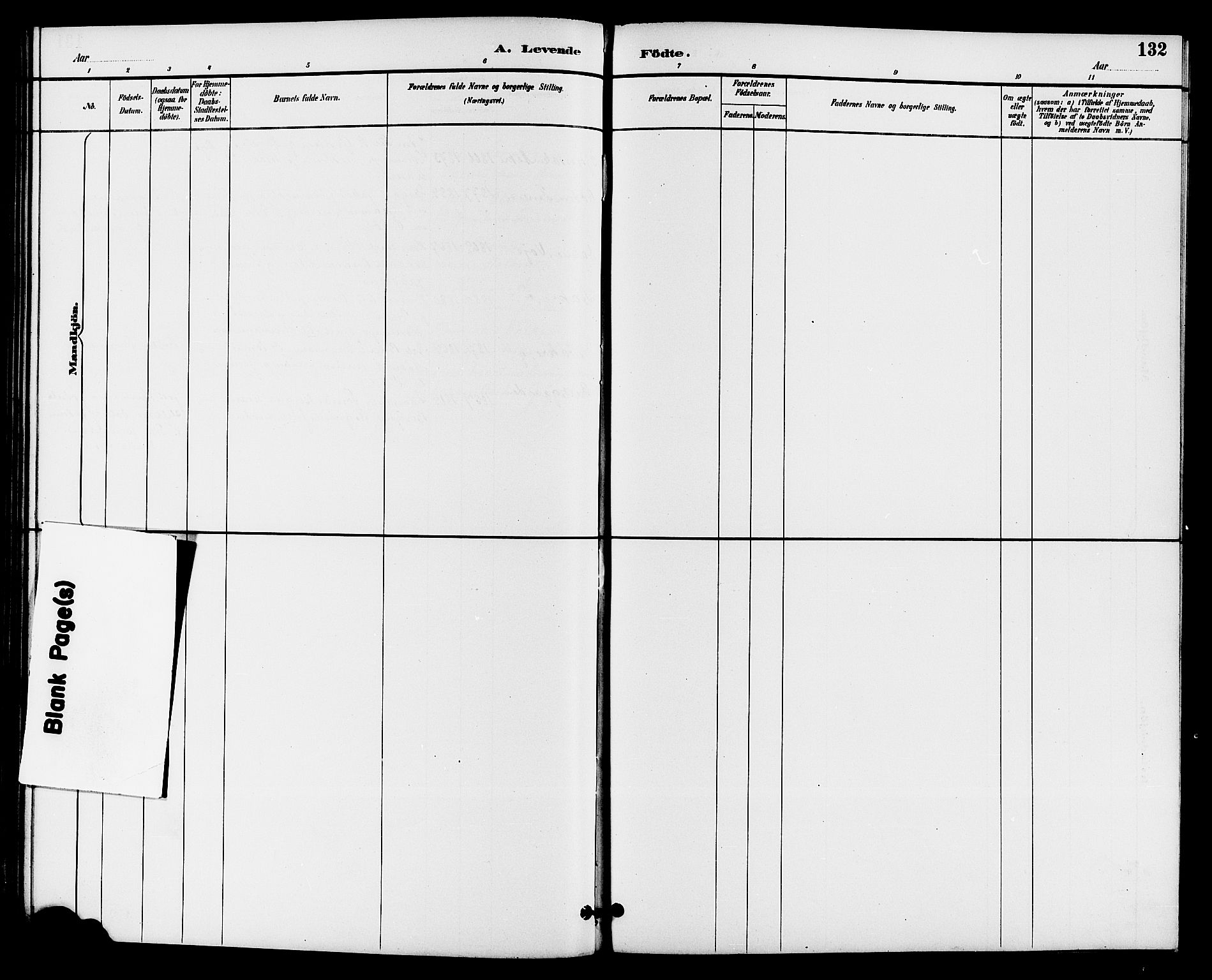 Drangedal kirkebøker, AV/SAKO-A-258/G/Ga/L0003: Parish register (copy) no. I 3, 1887-1906, p. 132