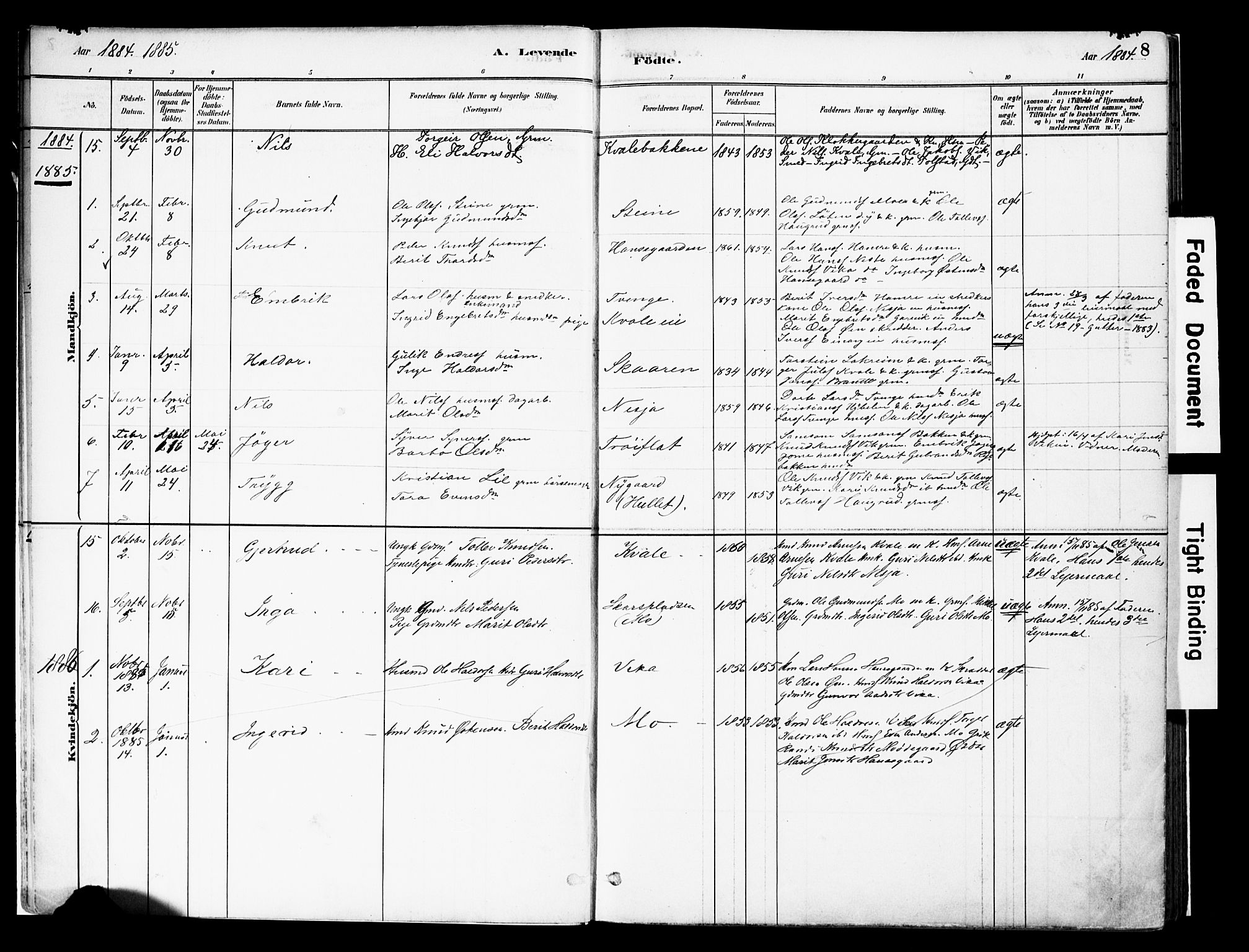 Vestre Slidre prestekontor, SAH/PREST-136/H/Ha/Haa/L0004: Parish register (official) no. 4, 1881-1911, p. 8