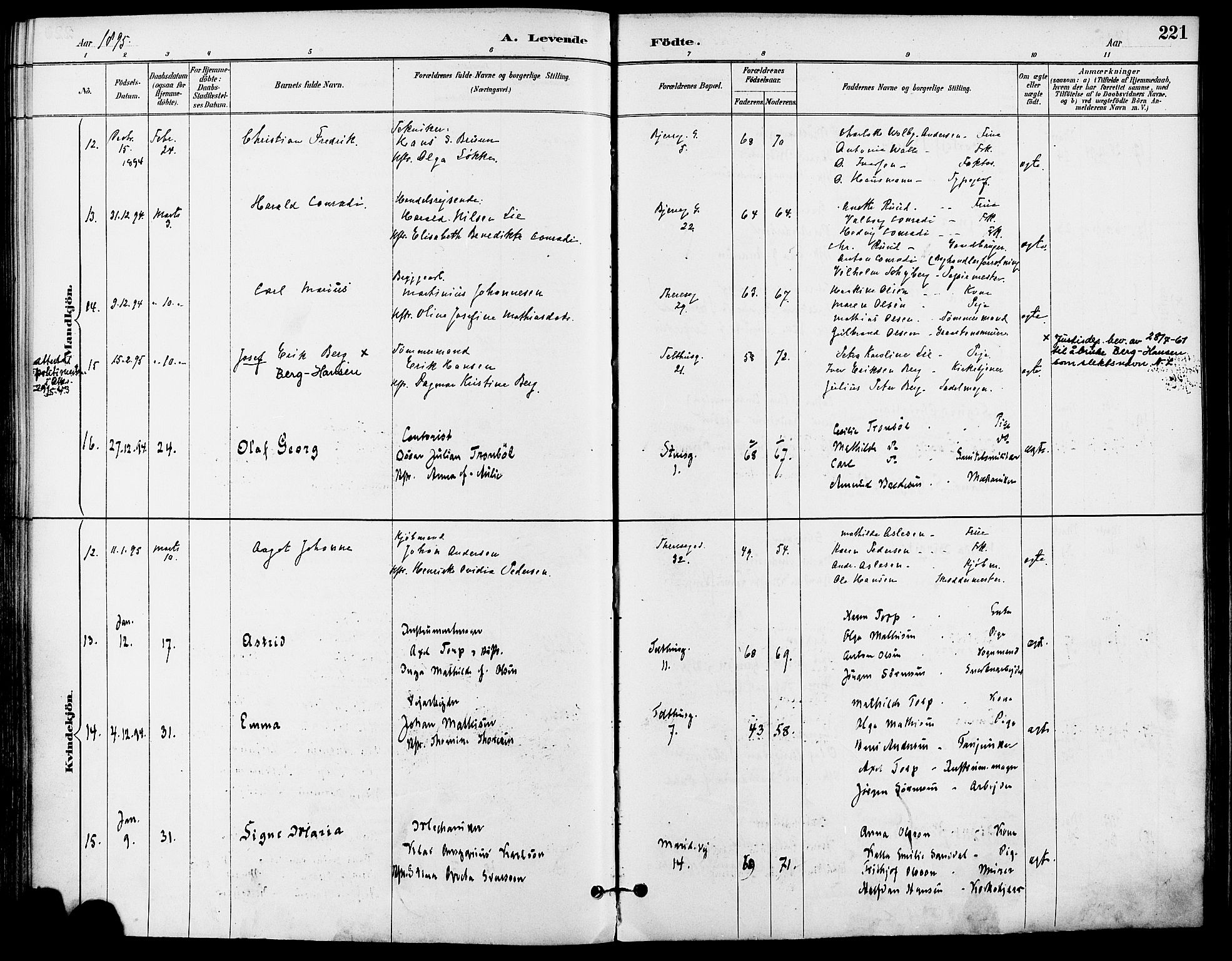 Gamle Aker prestekontor Kirkebøker, AV/SAO-A-10617a/F/L0008: Parish register (official) no. 8, 1887-1896, p. 221