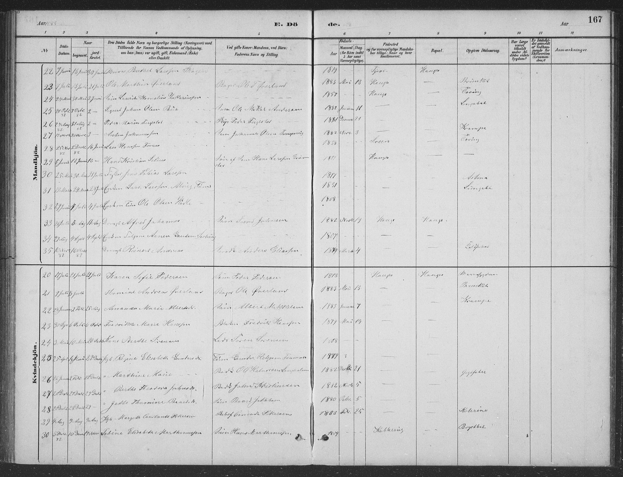 Haugesund sokneprestkontor, SAST/A -101863/H/Ha/Hab/L0002: Parish register (copy) no. B 2, 1881-1894, p. 167