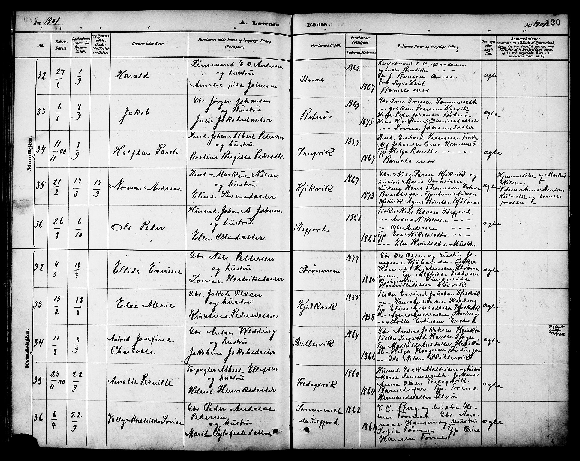 Ministerialprotokoller, klokkerbøker og fødselsregistre - Nordland, AV/SAT-A-1459/861/L0869: Parish register (official) no. 861A04, 1889-1903, p. 120