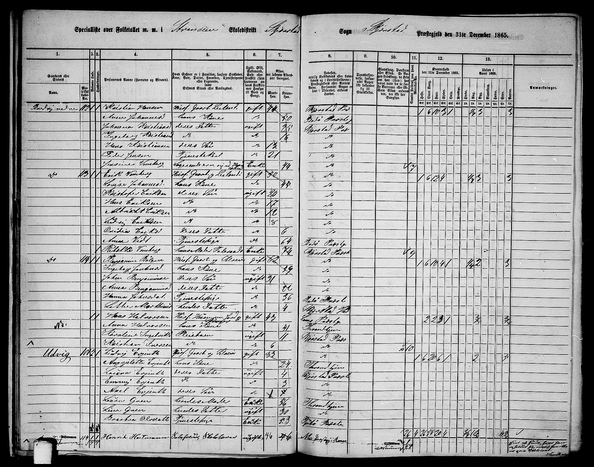 RA, 1865 census for Skjerstad, 1865, p. 22