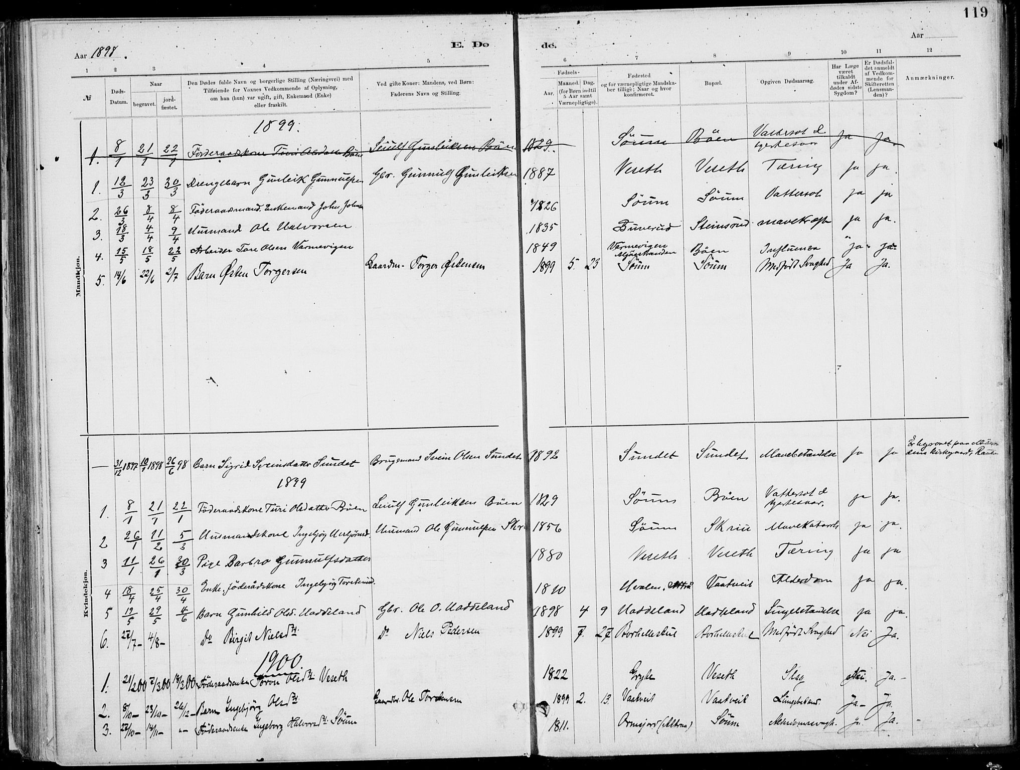 Rjukan kirkebøker, SAKO/A-294/F/Fa/L0001: Parish register (official) no. 1, 1878-1912, p. 119