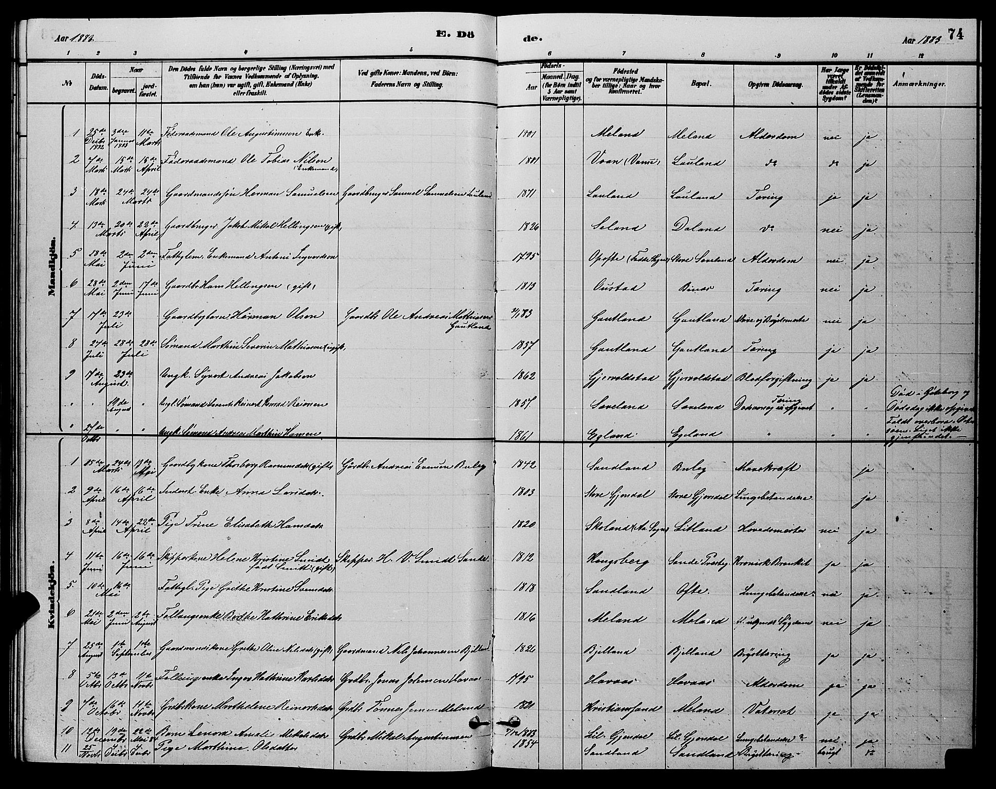 Herad sokneprestkontor, AV/SAK-1111-0018/F/Fb/Fba/L0004: Parish register (copy) no. B 4, 1882-1899, p. 74