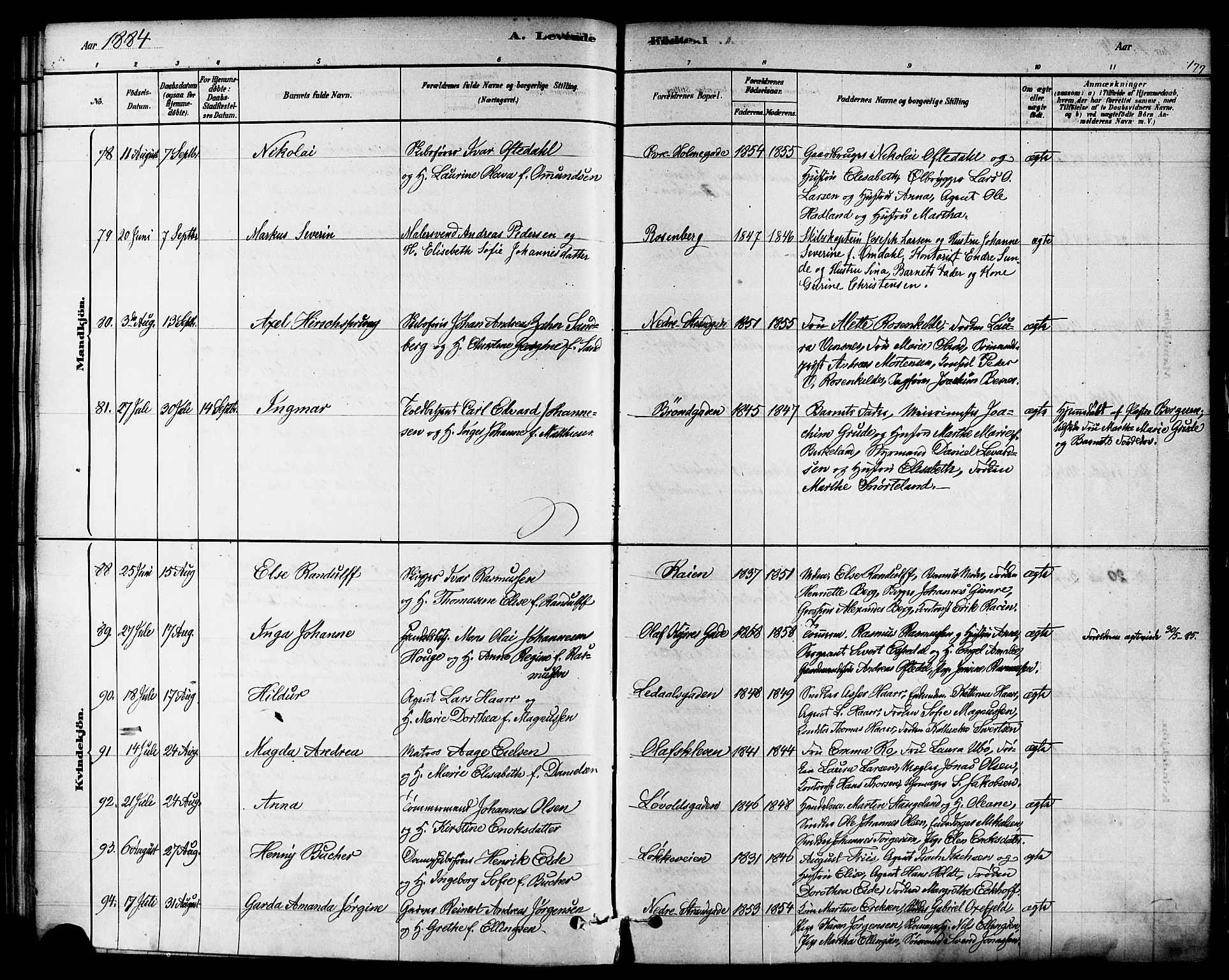 Domkirken sokneprestkontor, SAST/A-101812/001/30/30BA/L0026: Parish register (official) no. A 25, 1878-1889, p. 177
