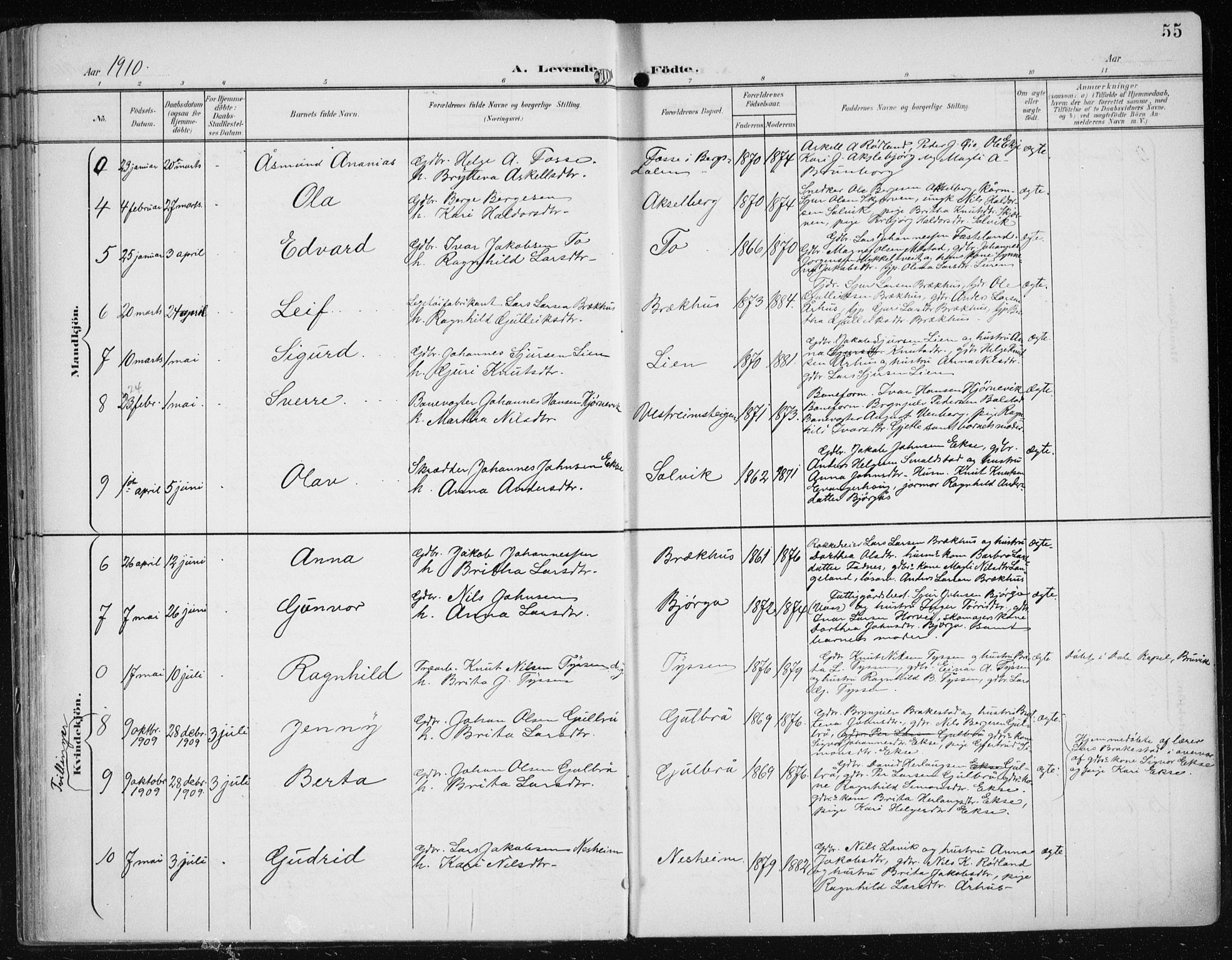Evanger sokneprestembete, SAB/A-99924: Parish register (official) no. A  3, 1900-1930, p. 55