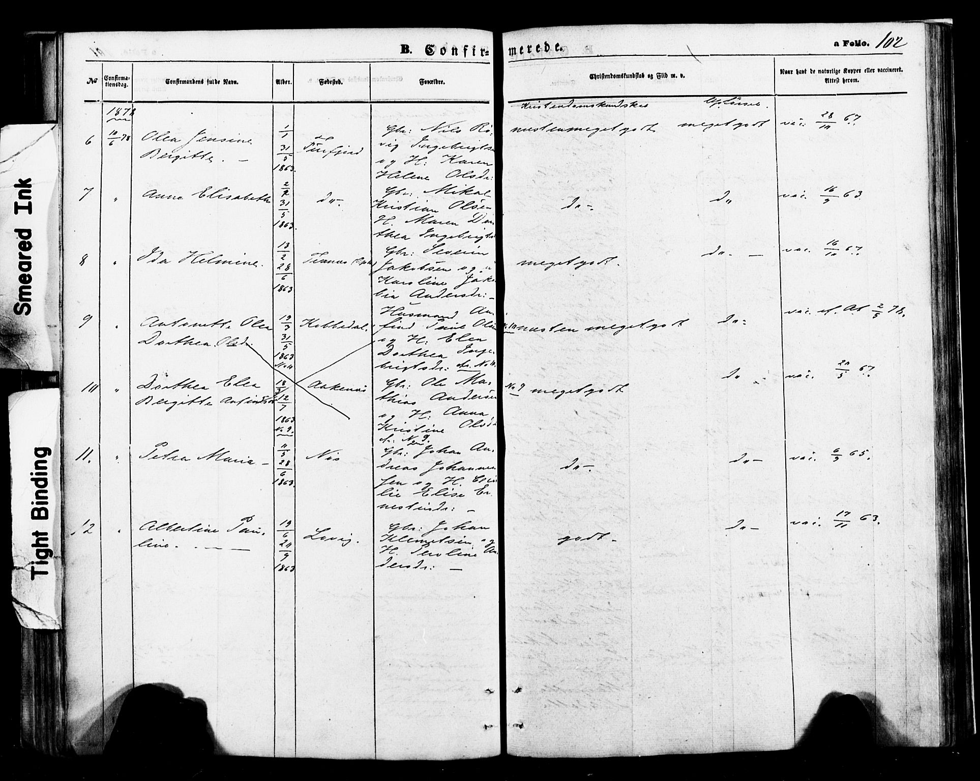 Ministerialprotokoller, klokkerbøker og fødselsregistre - Nordland, SAT/A-1459/898/L1421: Parish register (official) no. 898A01, 1866-1886, p. 102
