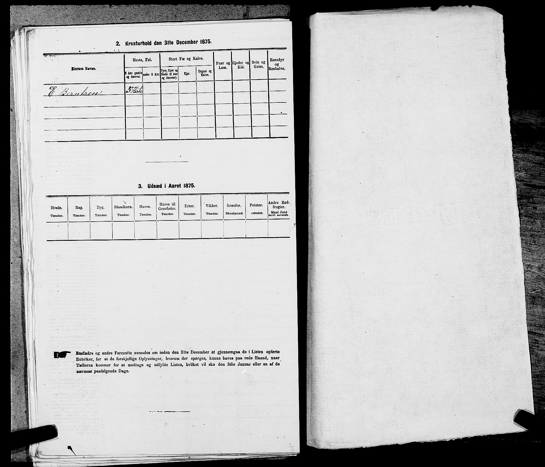 SAST, 1875 census for 1126P Hetland, 1875, p. 318