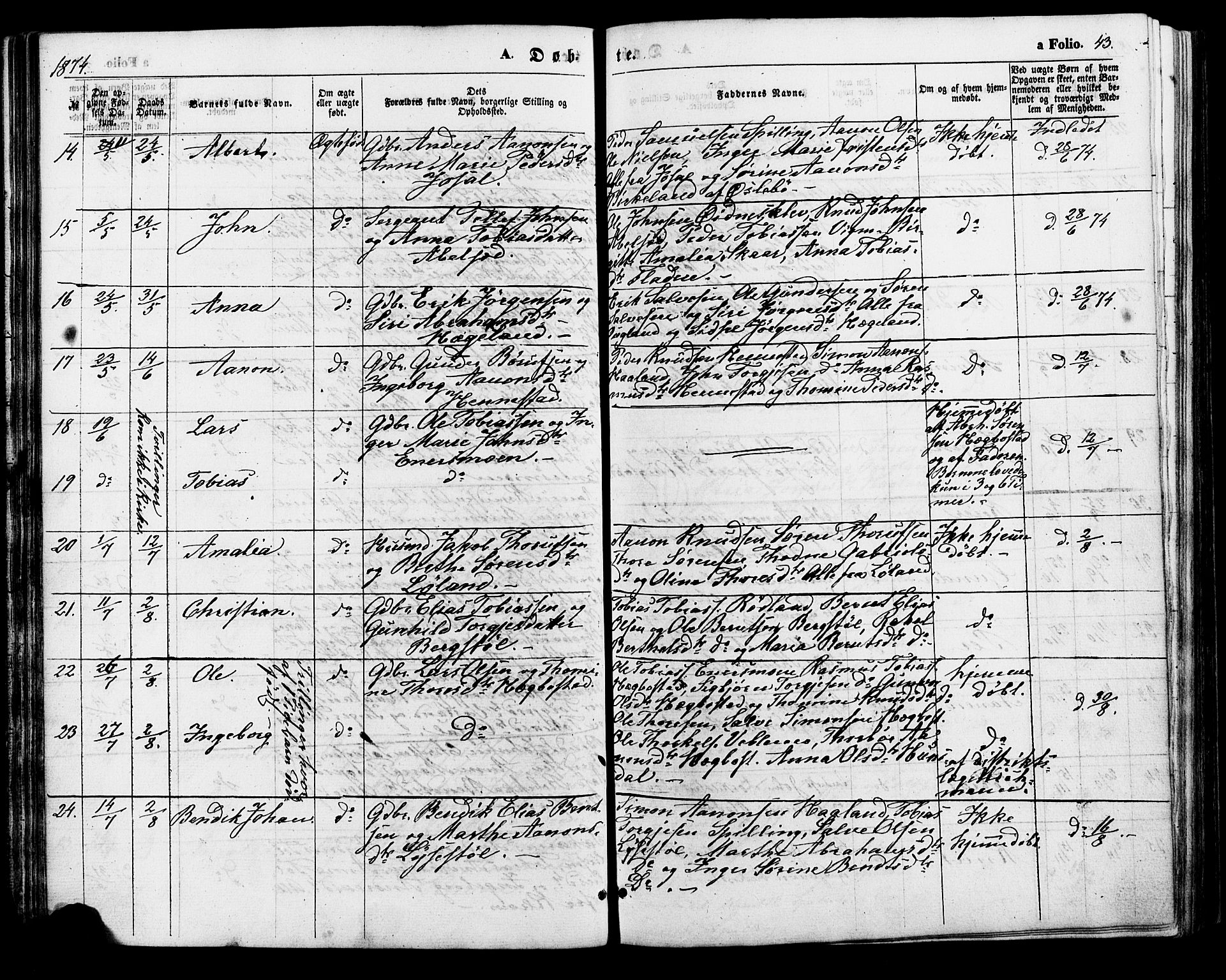 Nord-Audnedal sokneprestkontor, AV/SAK-1111-0032/F/Fa/Fab/L0002: Parish register (official) no. A 2, 1859-1882, p. 43