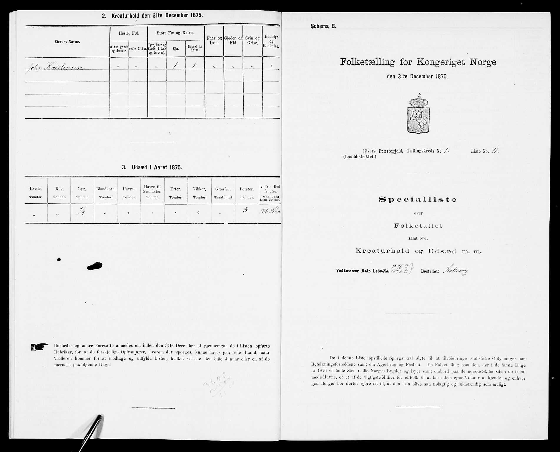 SAK, 1875 census for 0913L Risør/Søndeled, 1875, p. 70