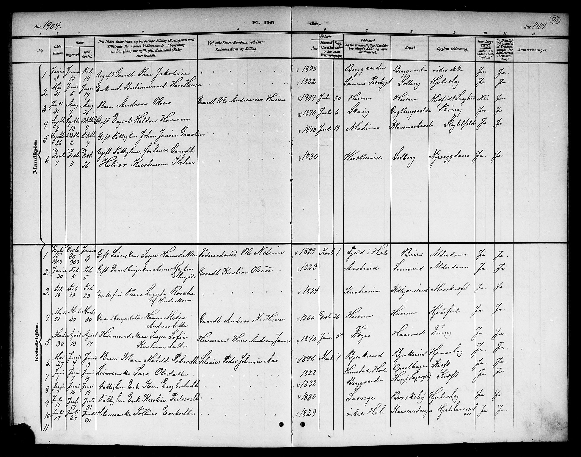 Hole kirkebøker, SAKO/A-228/G/Gb/L0004: Parish register (copy) no. II 4, 1901-1916, p. 125