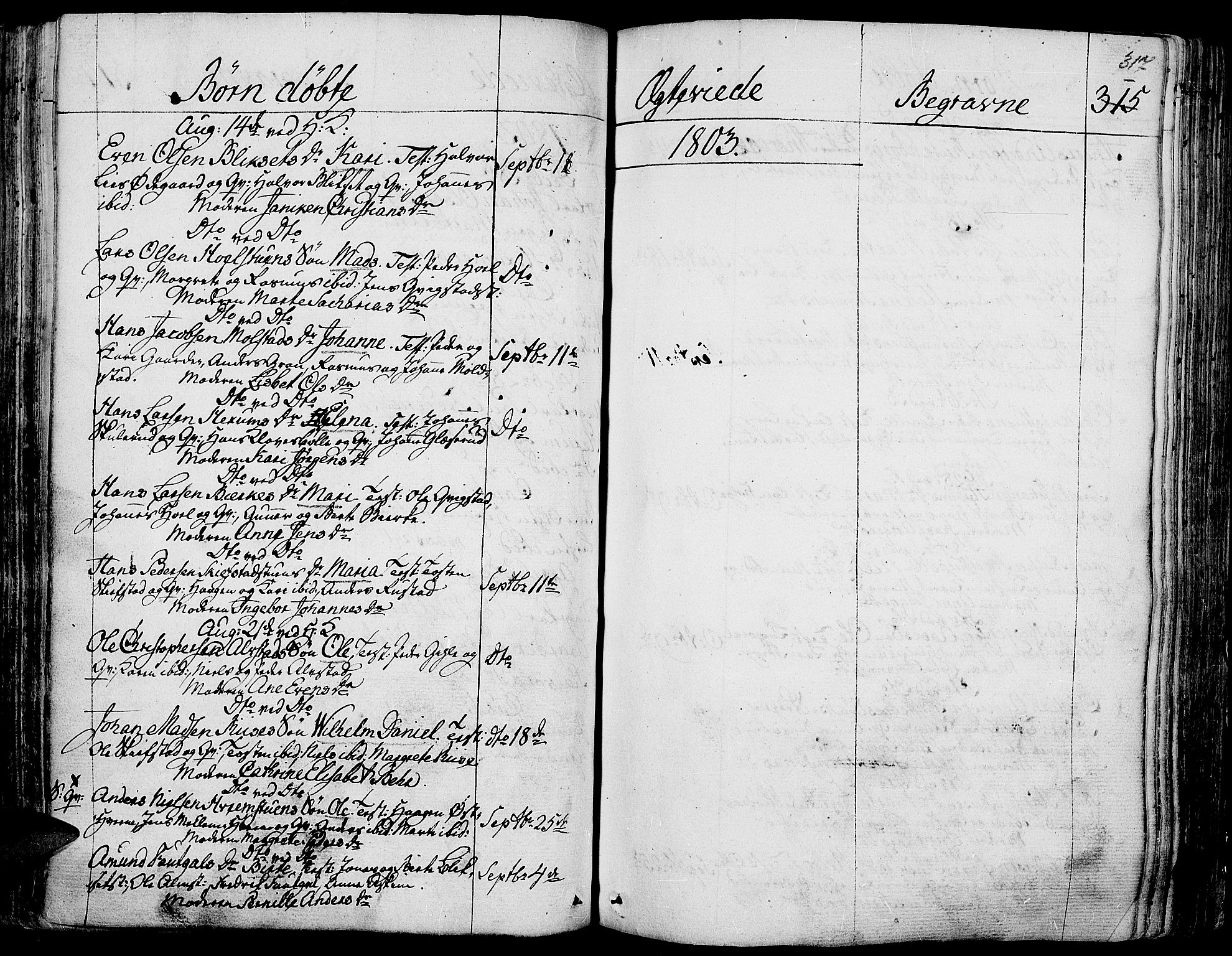 Toten prestekontor, SAH/PREST-102/H/Ha/Haa/L0007: Parish register (official) no. 7, 1794-1809, p. 317
