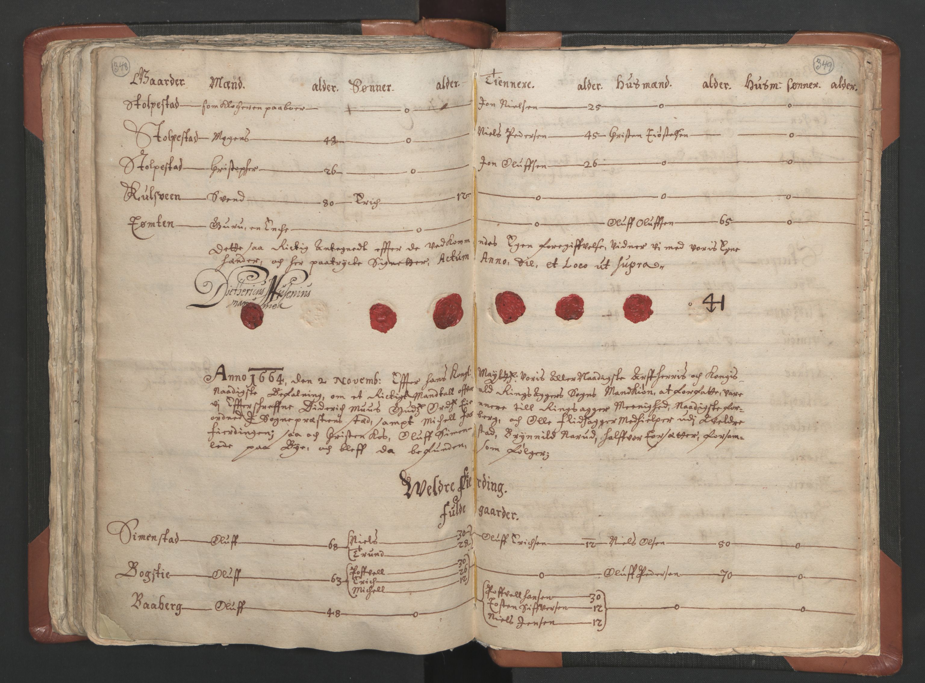 RA, Vicar's Census 1664-1666, no. 5: Hedmark deanery, 1664-1666, p. 348-349