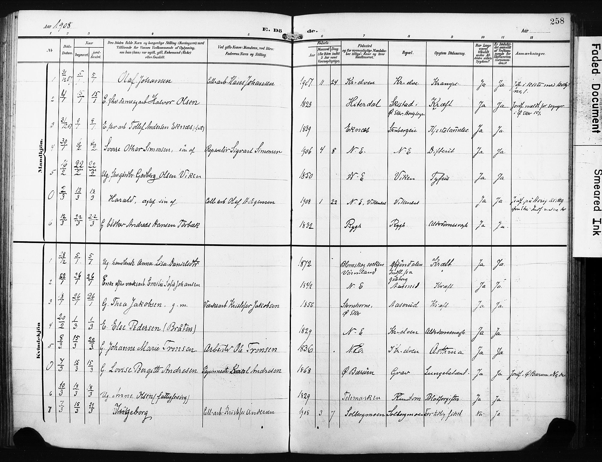 Nedre Eiker kirkebøker, AV/SAKO-A-612/F/Fa/L0006: Parish register (official) no. 6, 1906-1912, p. 258