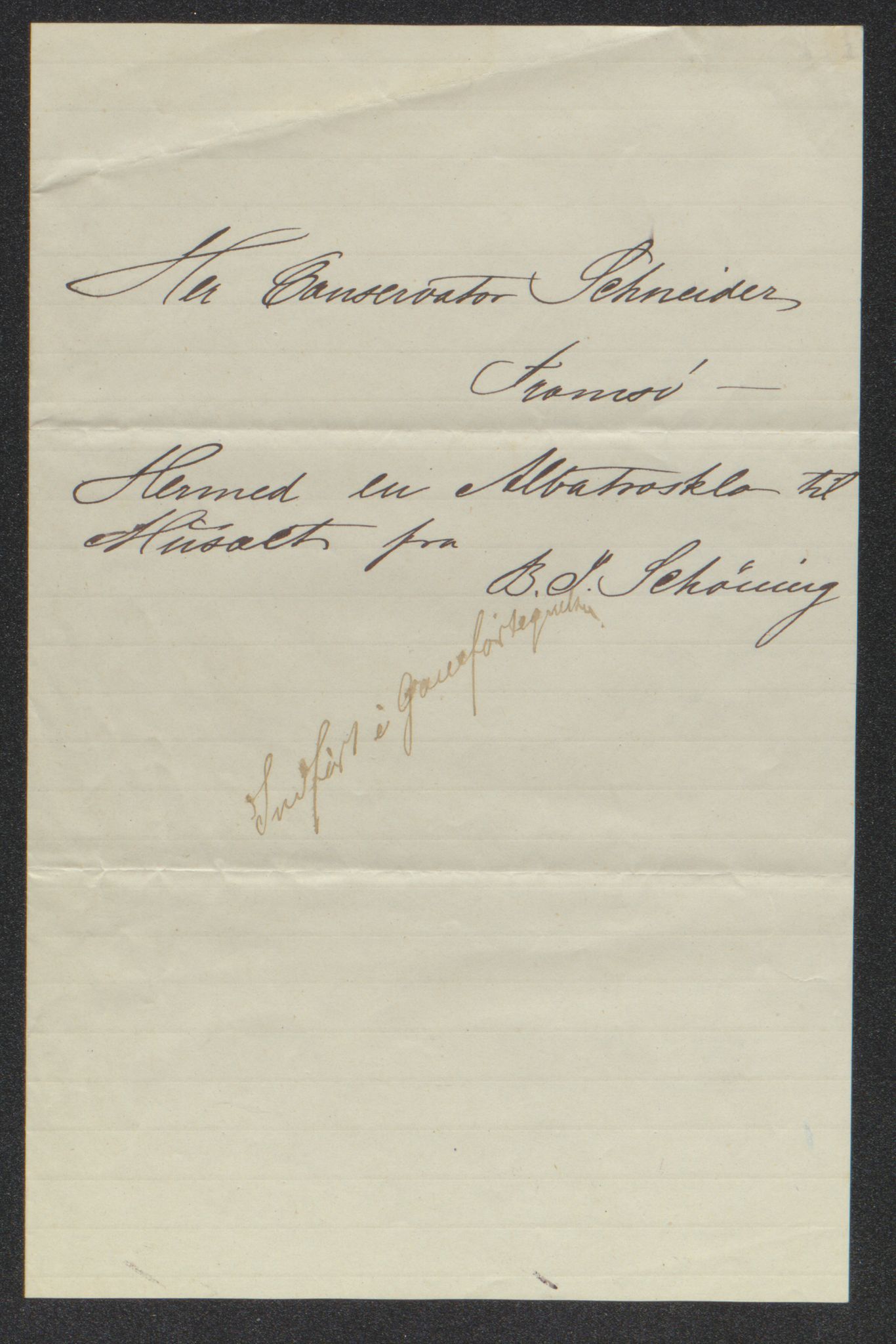 Tromsø Museum, AV/SATØ-S-0162/D/Db/L0032: Journalsaker og innkomne brev, 1872-1878, p. 19