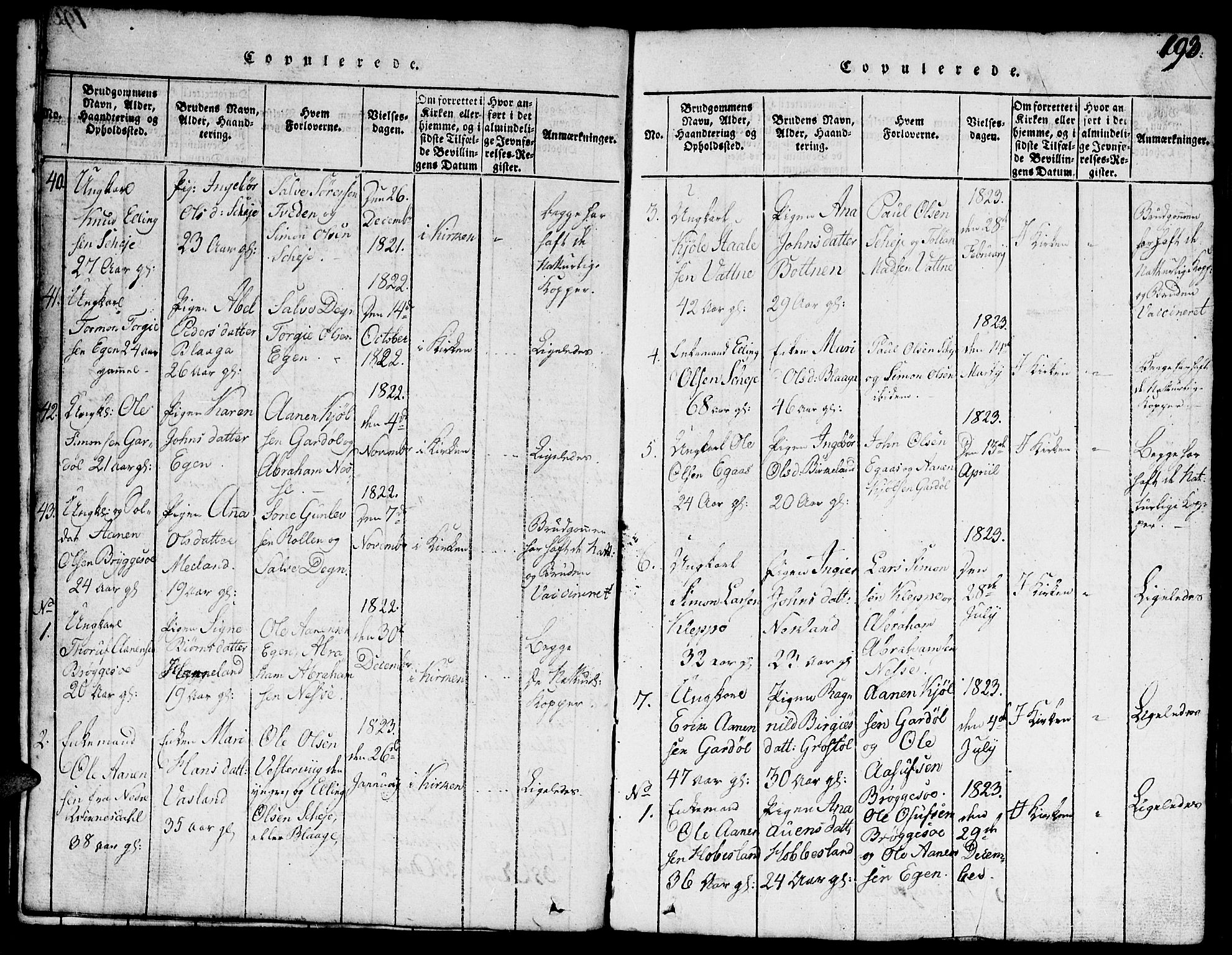 Hægebostad sokneprestkontor, SAK/1111-0024/F/Fb/Fbb/L0001: Parish register (copy) no. B 1, 1816-1850, p. 193