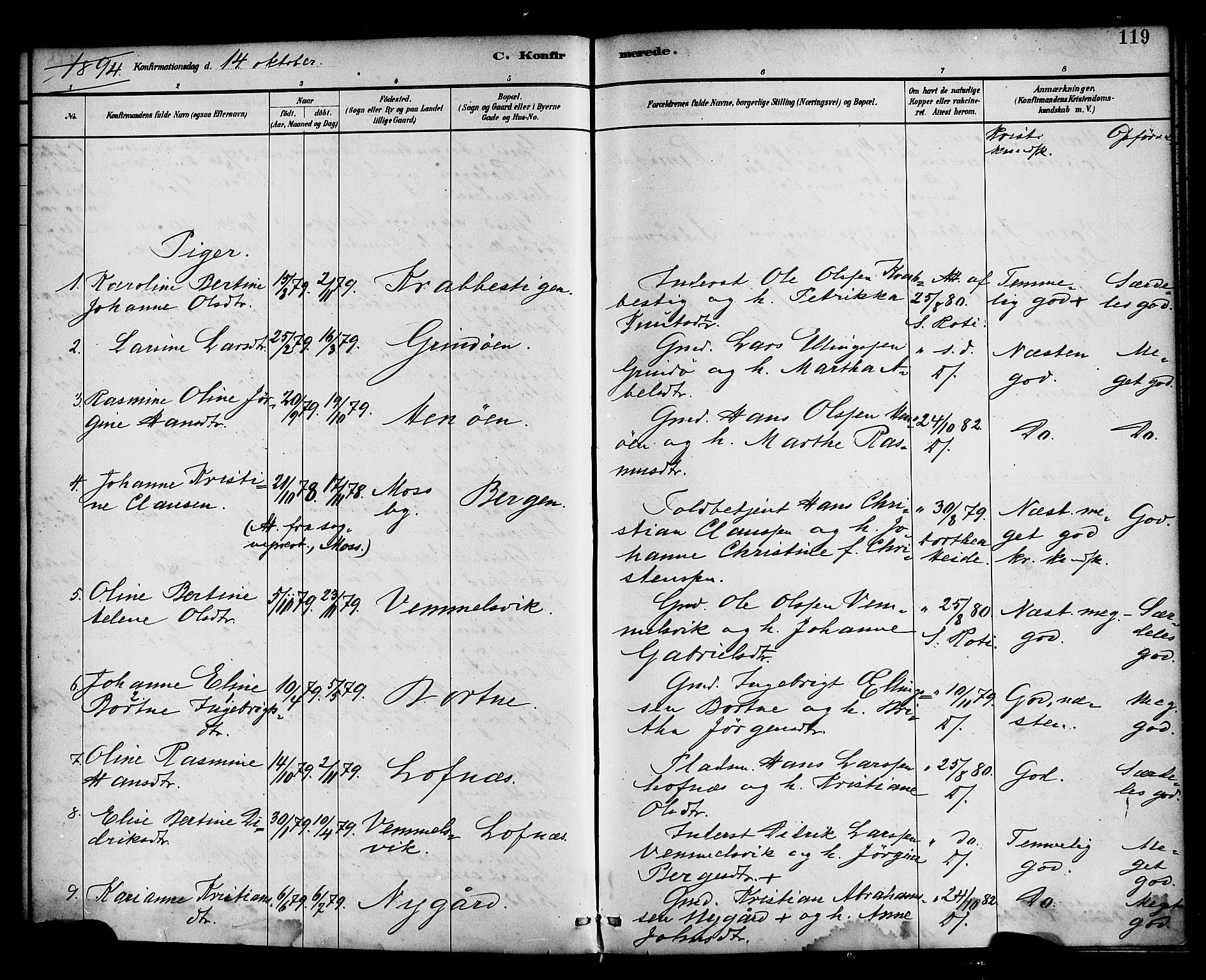 Davik sokneprestembete, SAB/A-79701/H/Haa/Haad/L0001: Parish register (official) no. D 1, 1882-1900, p. 119