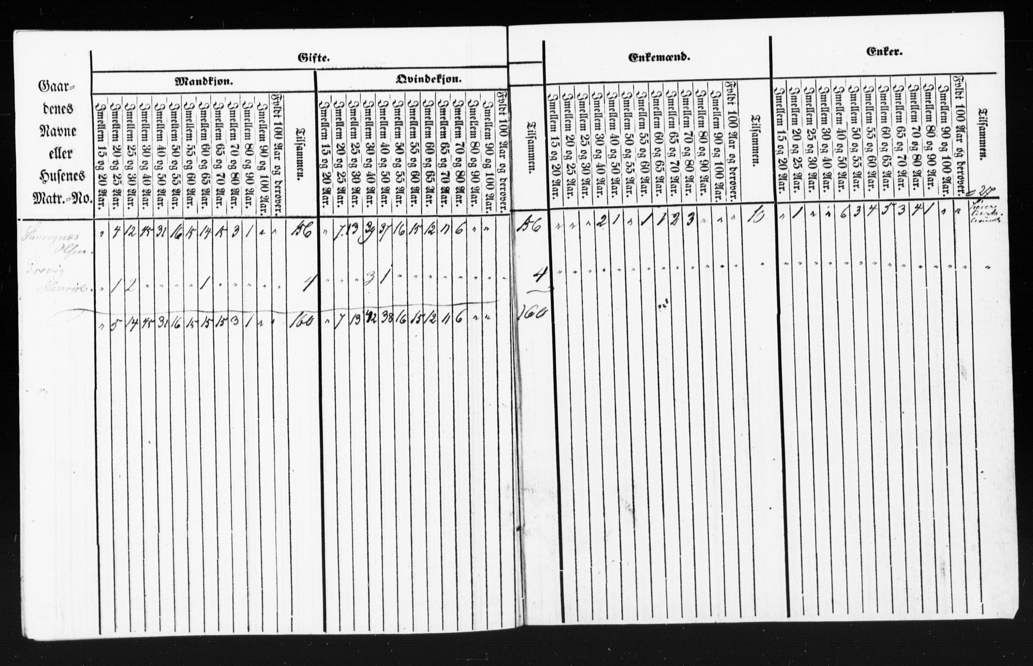 SAT, Census 1855 for Borgund, 1855, p. 101