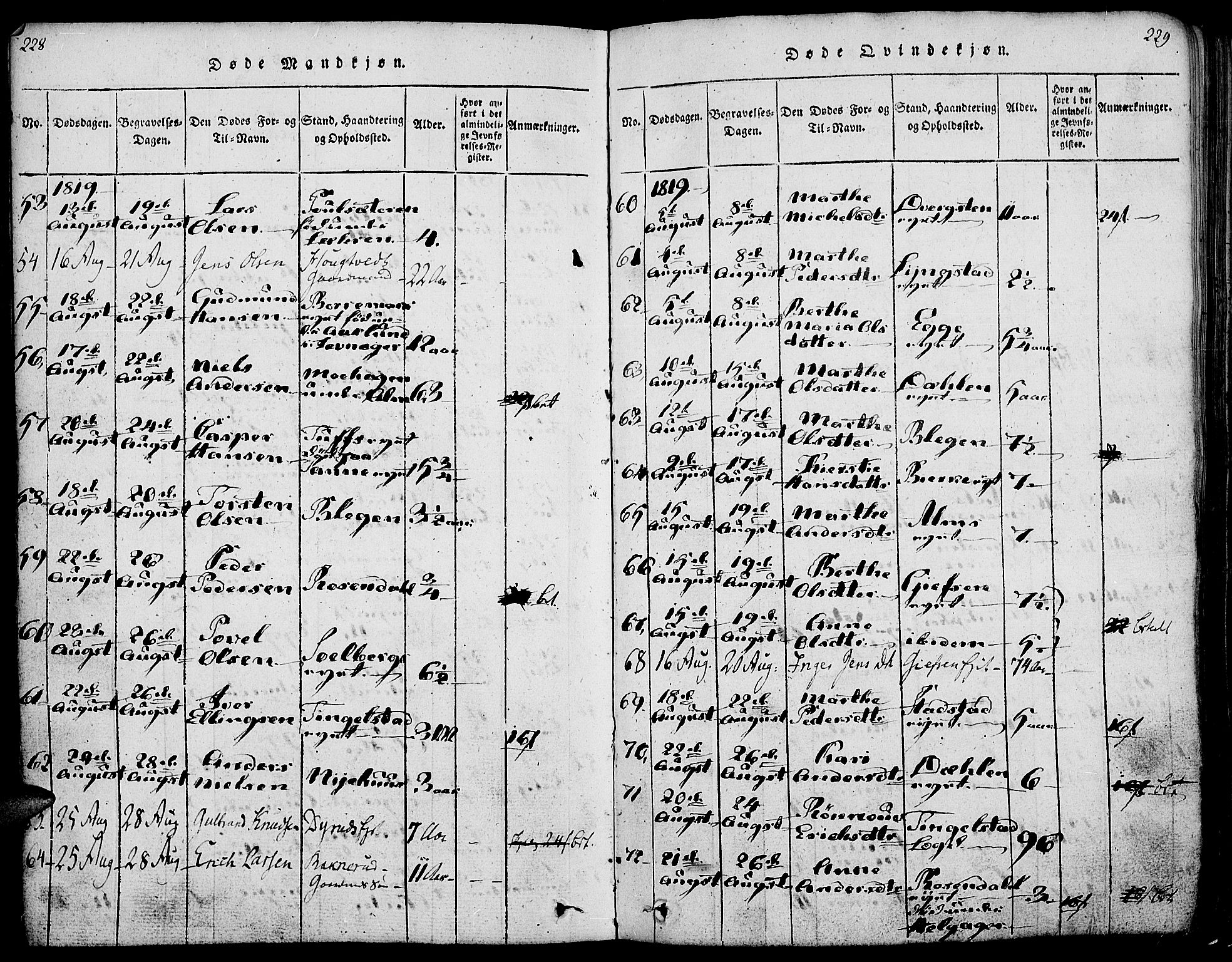 Gran prestekontor, AV/SAH-PREST-112/H/Ha/Haa/L0009: Parish register (official) no. 9, 1815-1824, p. 228-229