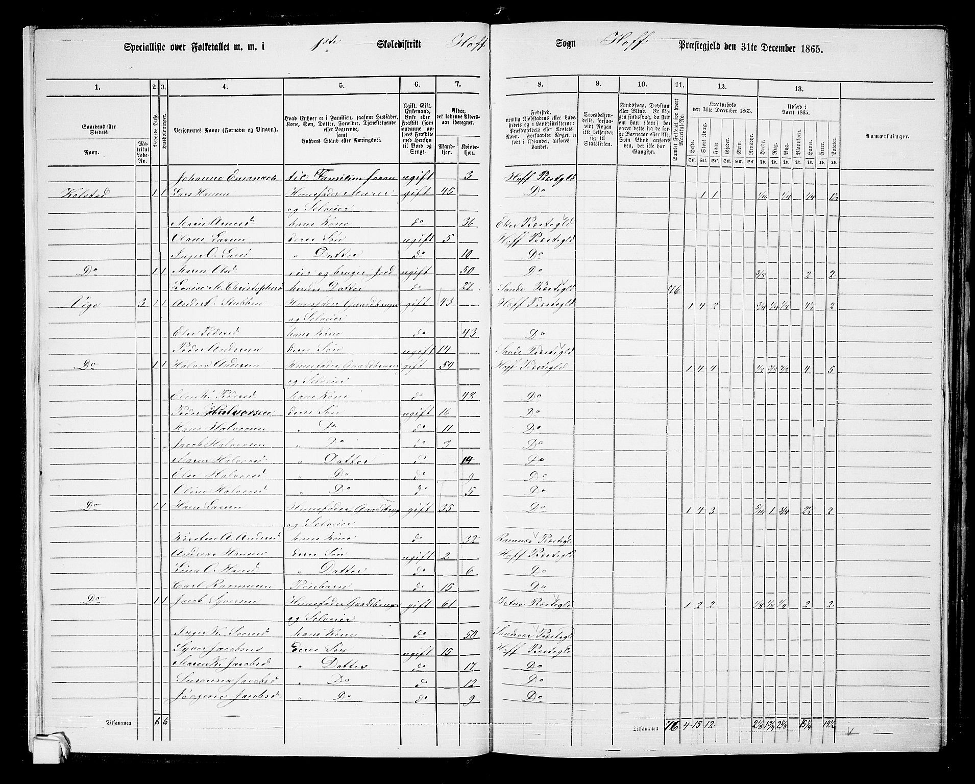 RA, 1865 census for Hof, 1865, p. 15