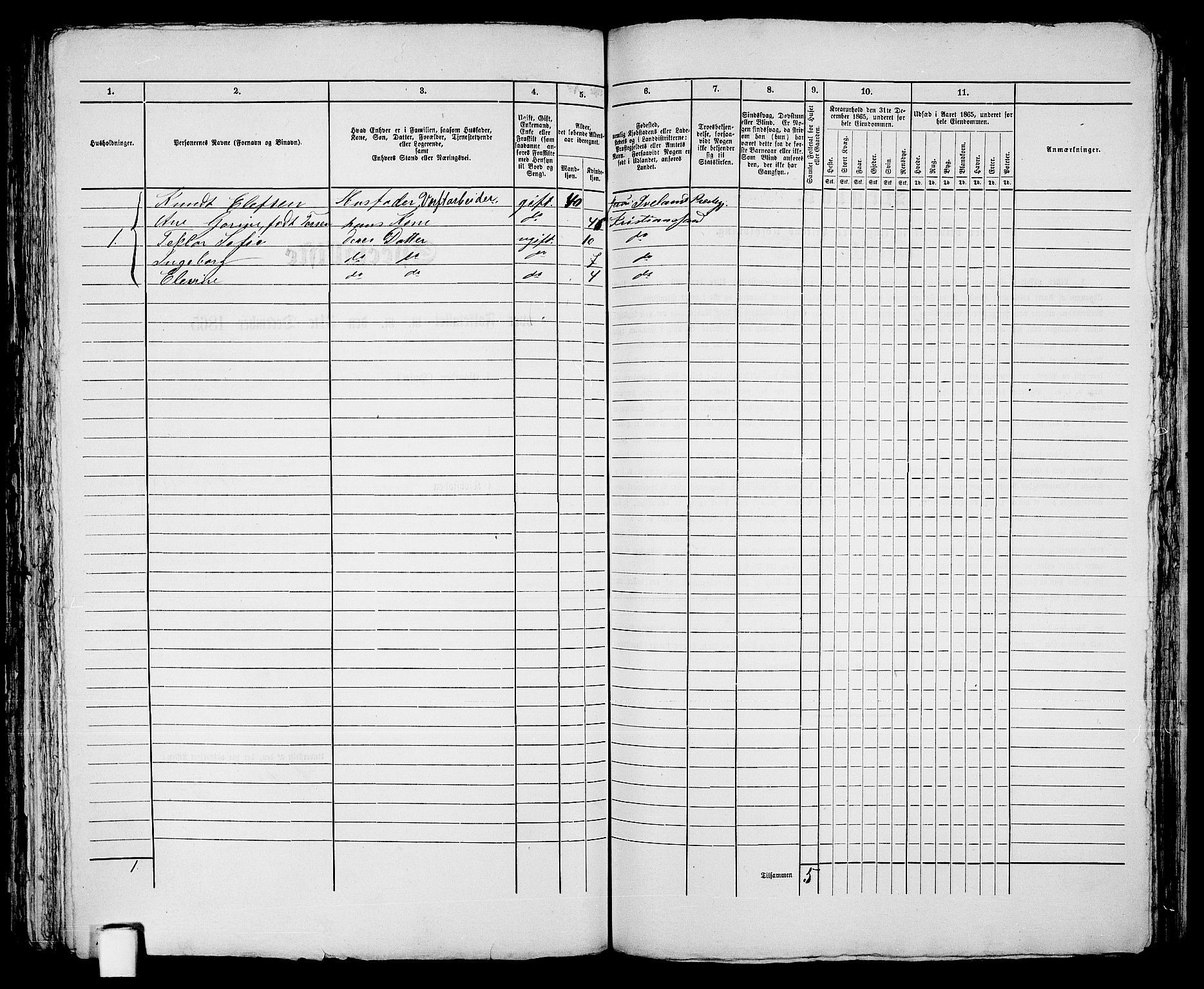 RA, 1865 census for Kristiansand, 1865, p. 1389