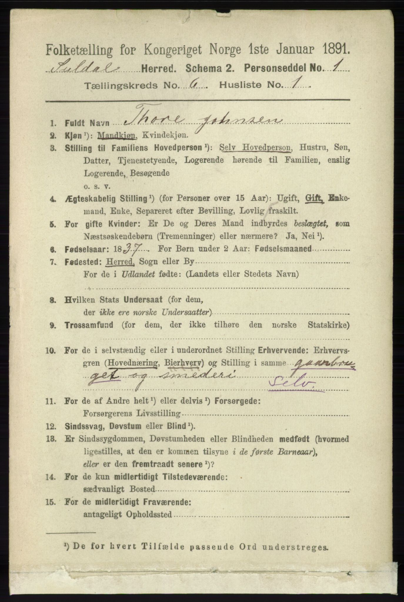 RA, 1891 census for 1134 Suldal, 1891, p. 1595