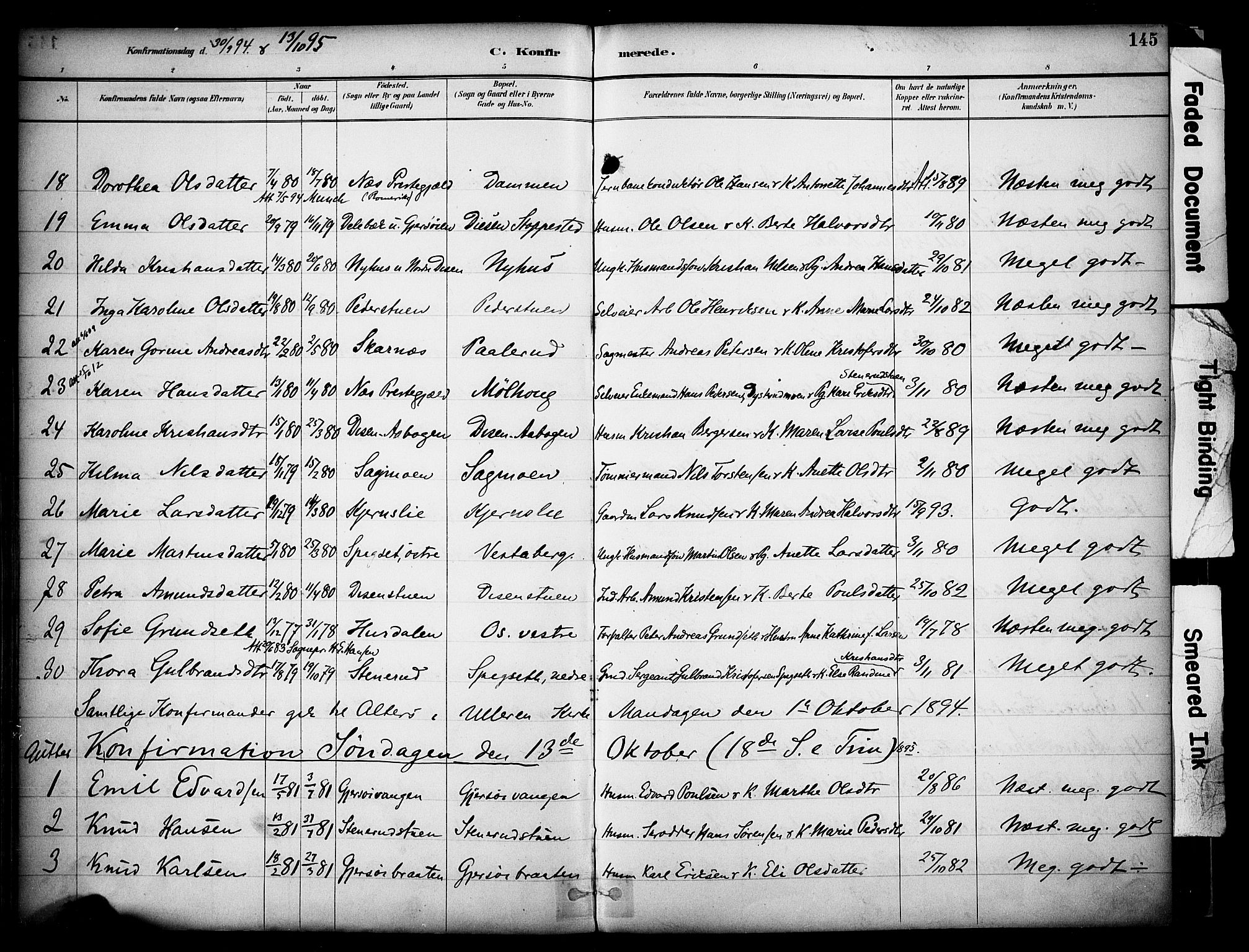 Sør-Odal prestekontor, AV/SAH-PREST-030/H/Ha/Haa/L0008: Parish register (official) no. 8, 1886-1922, p. 145