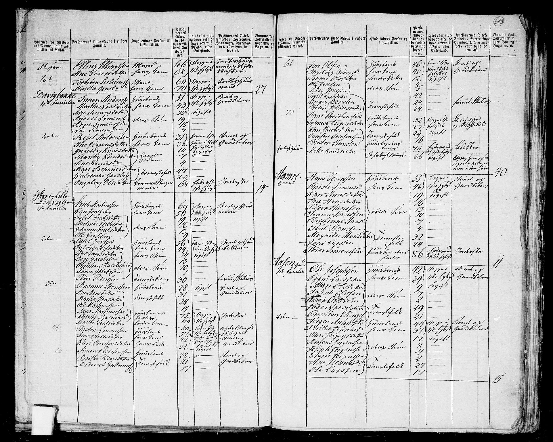 RA, 1801 census for 1442P Davik, 1801, p. 602b-603a