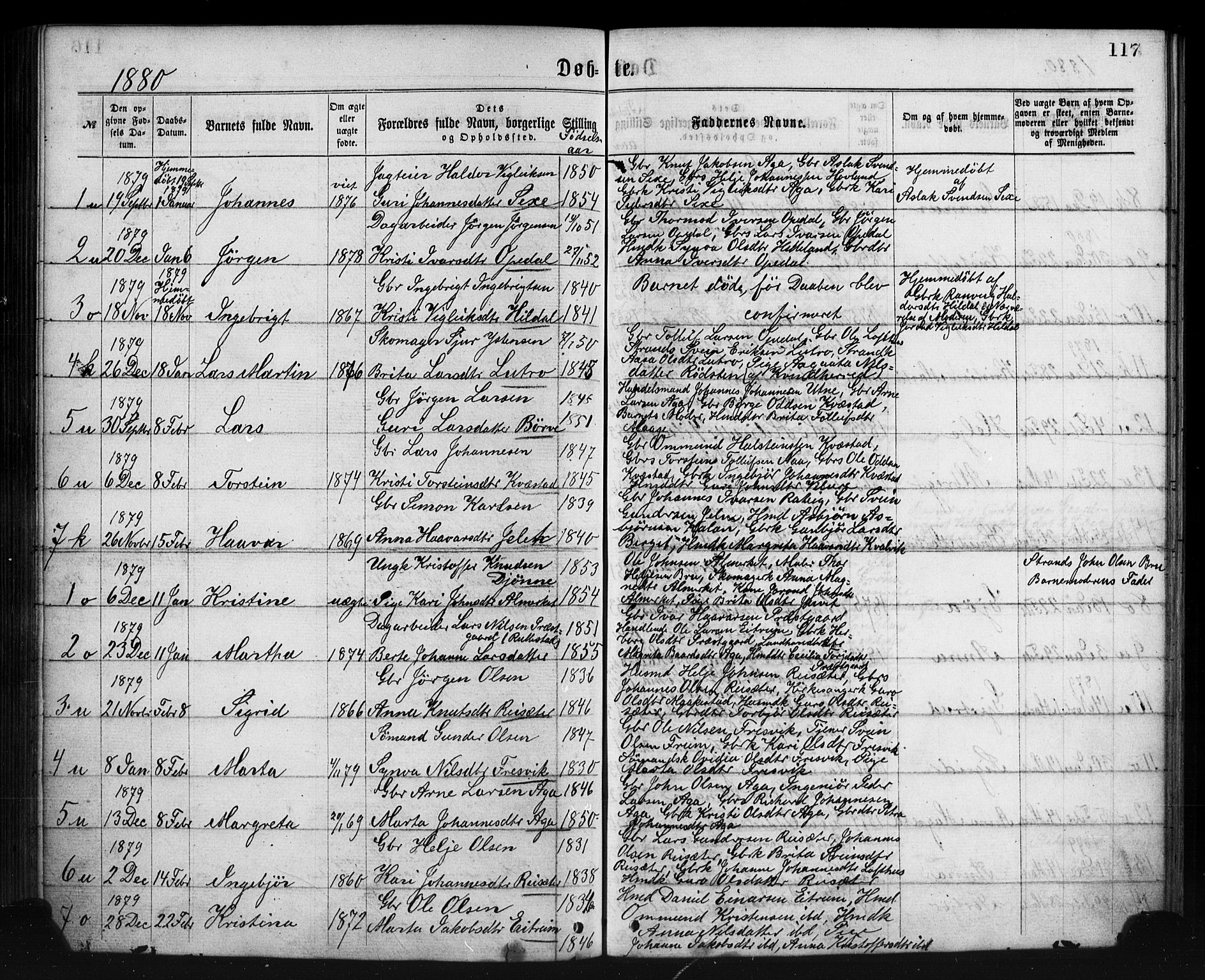 Ullensvang sokneprestembete, SAB/A-78701/H/Haa: Parish register (official) no. A 12, 1867-1881, p. 117