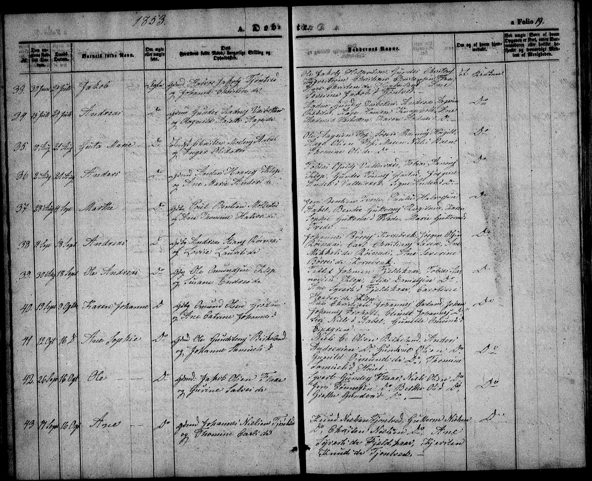 Birkenes sokneprestkontor, SAK/1111-0004/F/Fb/L0002: Parish register (copy) no. B 2, 1849-1876, p. 19