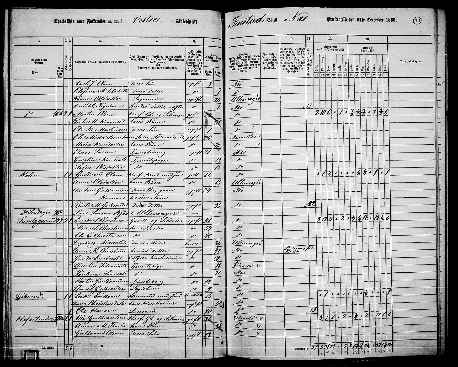 RA, 1865 census for Nes, 1865, p. 70