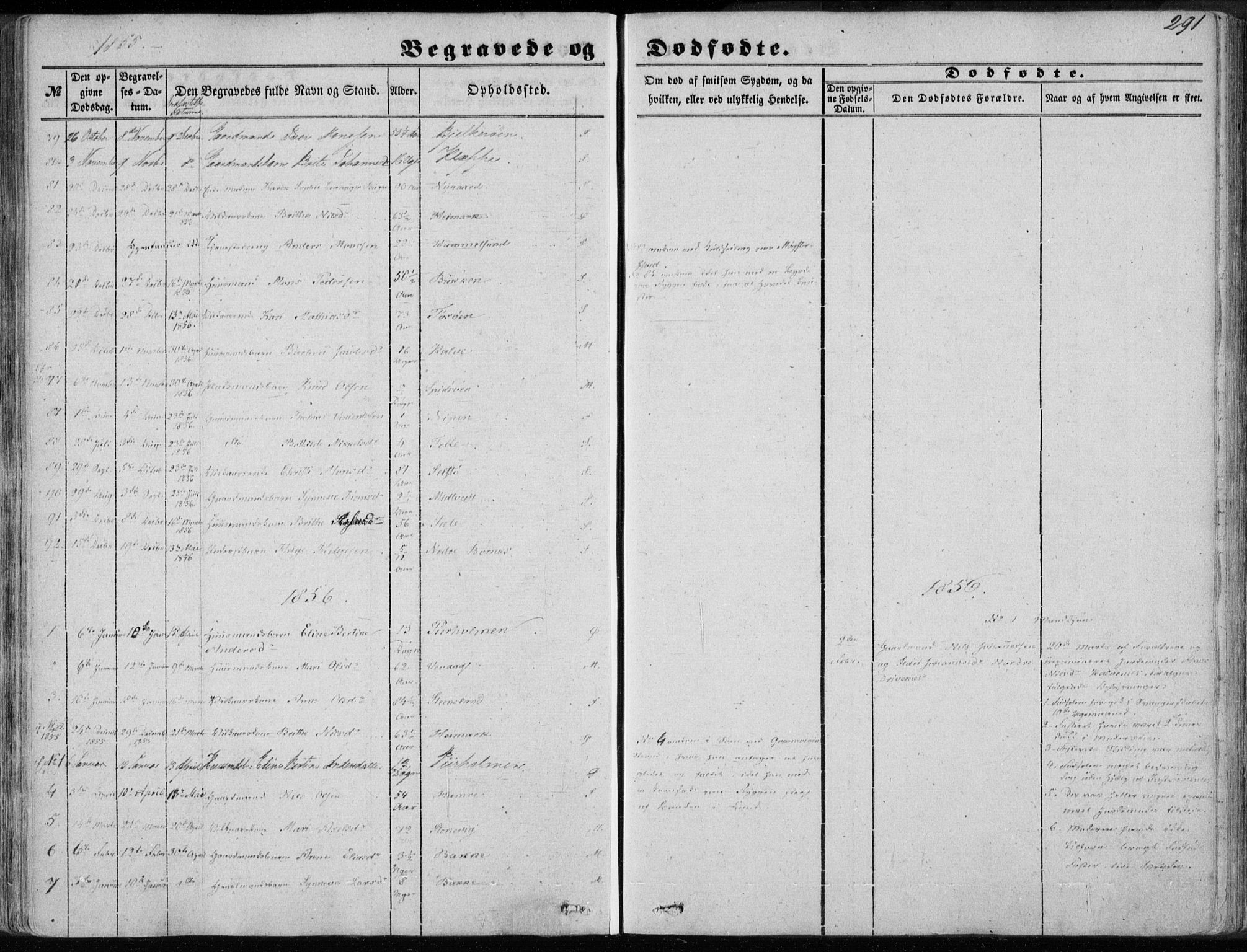 Sund sokneprestembete, SAB/A-99930: Parish register (official) no. A 14, 1850-1866, p. 291