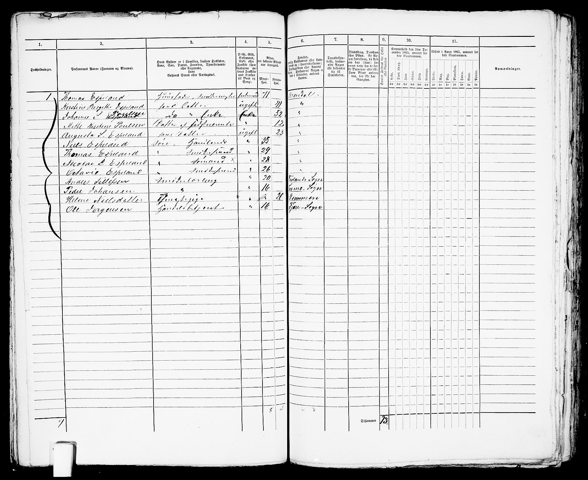 RA, 1865 census for Arendal, 1865, p. 242