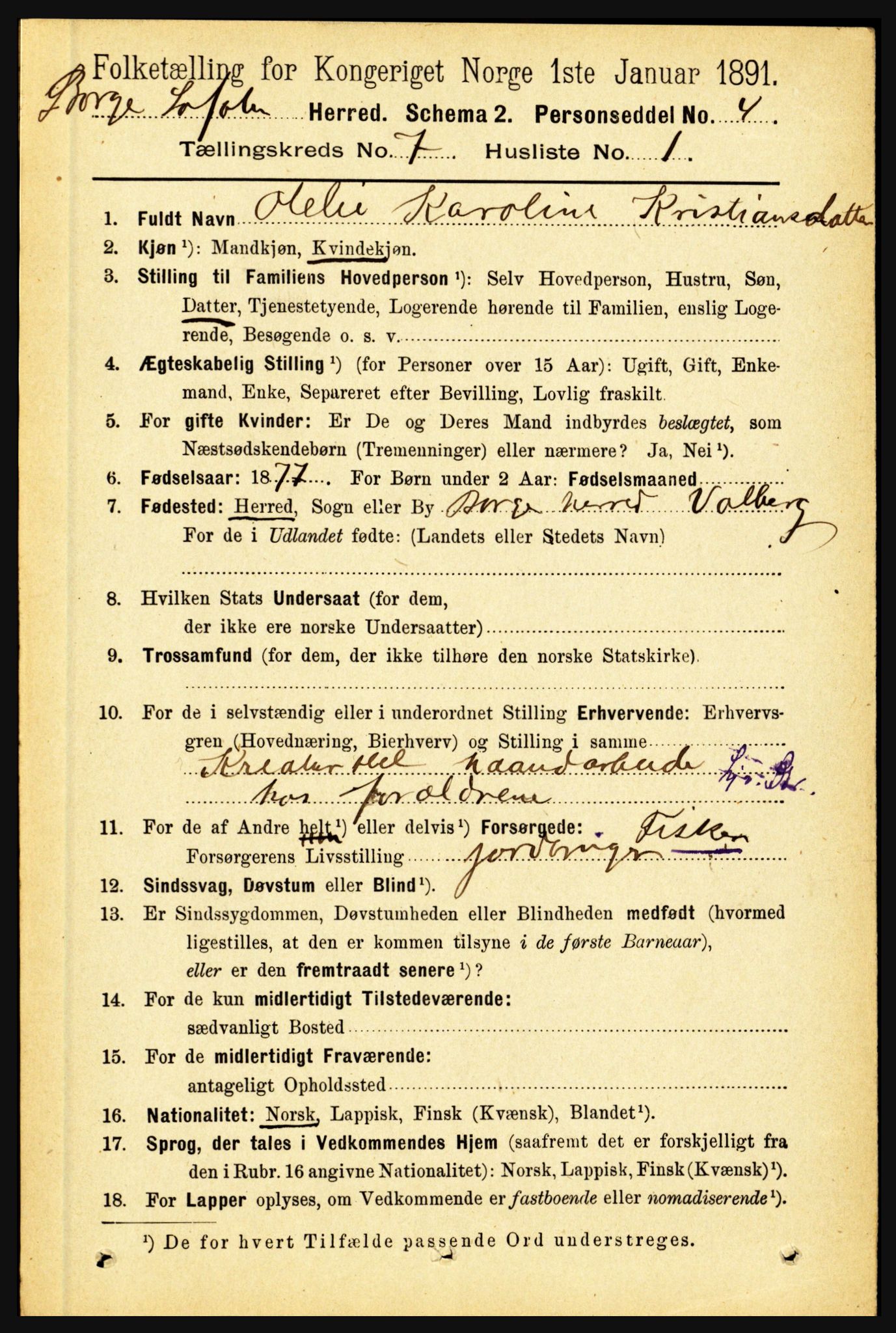 RA, 1891 census for 1862 Borge, 1891, p. 4420