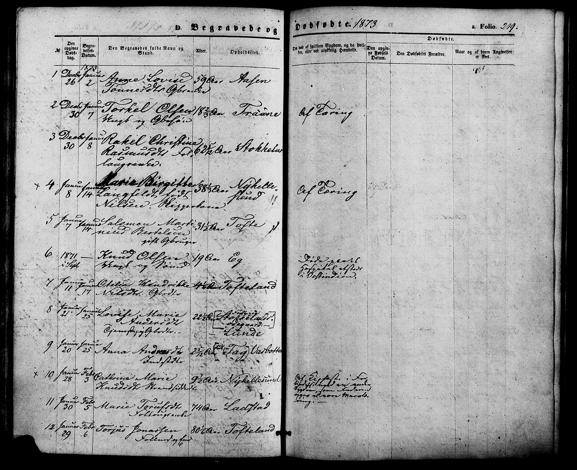 Søgne sokneprestkontor, AV/SAK-1111-0037/F/Fa/Fab/L0011: Parish register (official) no. A 11, 1869-1879, p. 219