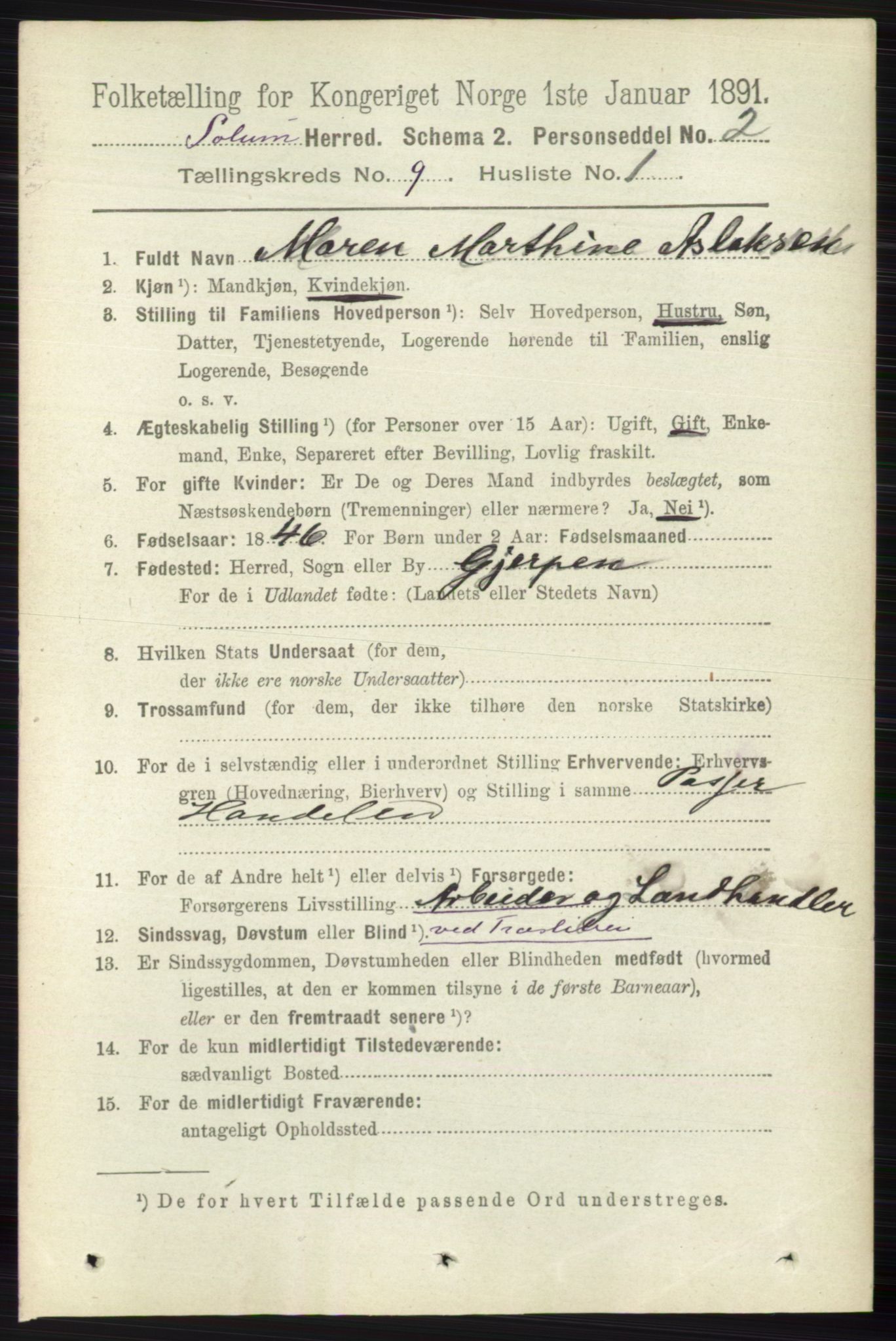 RA, 1891 census for 0818 Solum, 1891, p. 1941