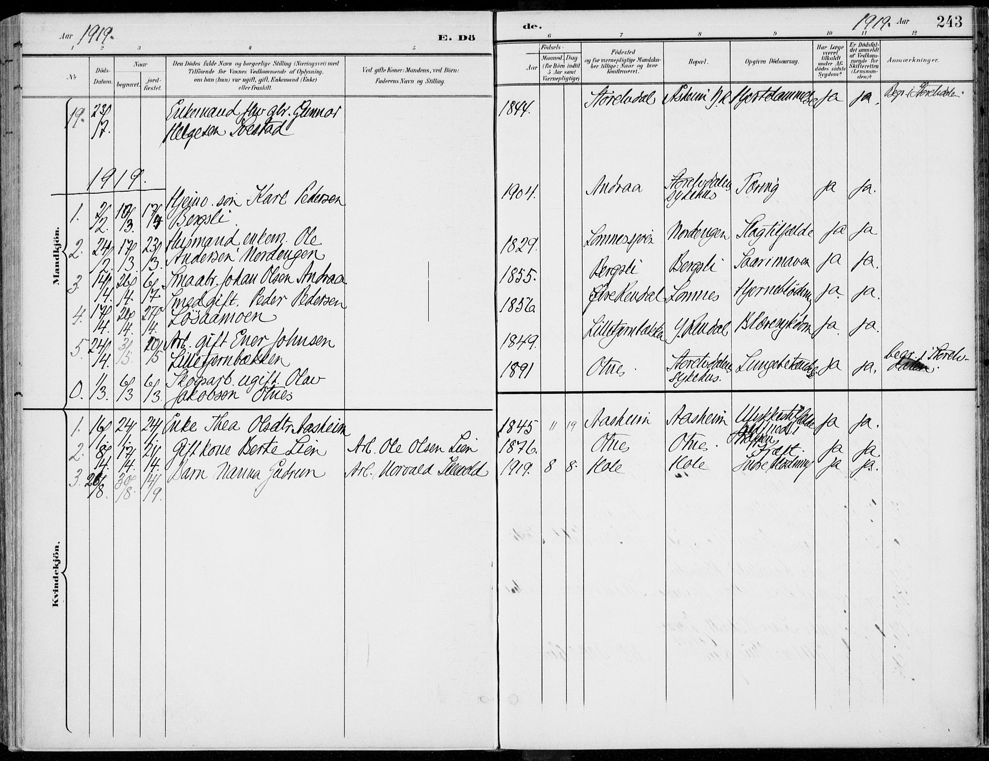 Rendalen prestekontor, SAH/PREST-054/H/Ha/Haa/L0011: Parish register (official) no. 11, 1901-1925, p. 243