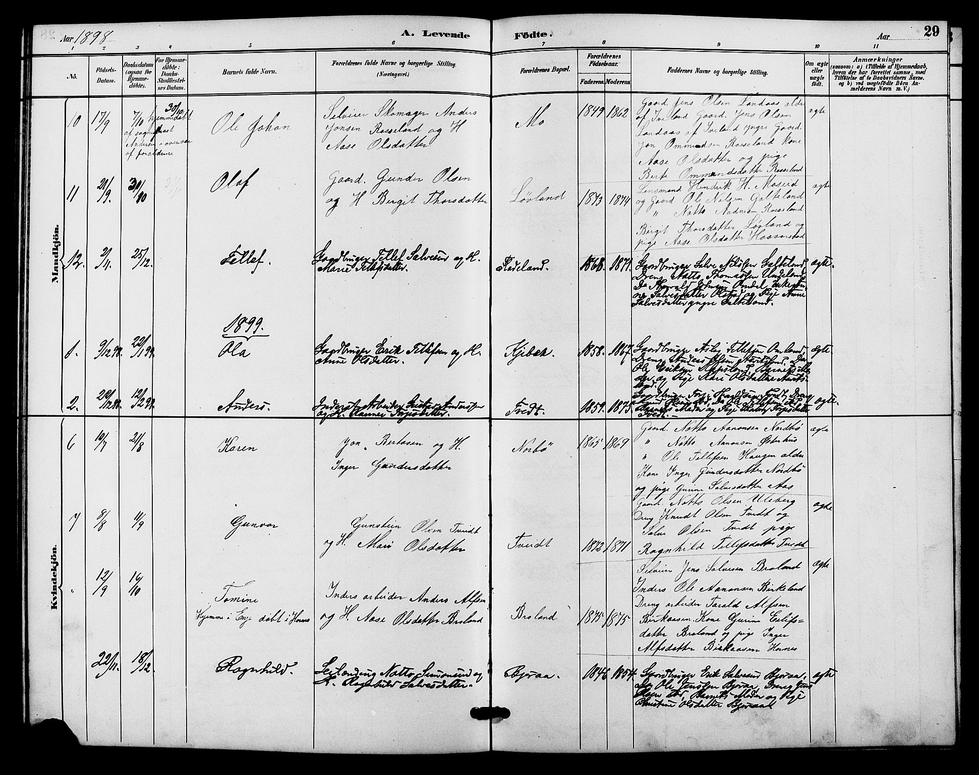 Evje sokneprestkontor, AV/SAK-1111-0008/F/Fb/Fba/L0003: Parish register (copy) no. B 3, 1888-1903, p. 29