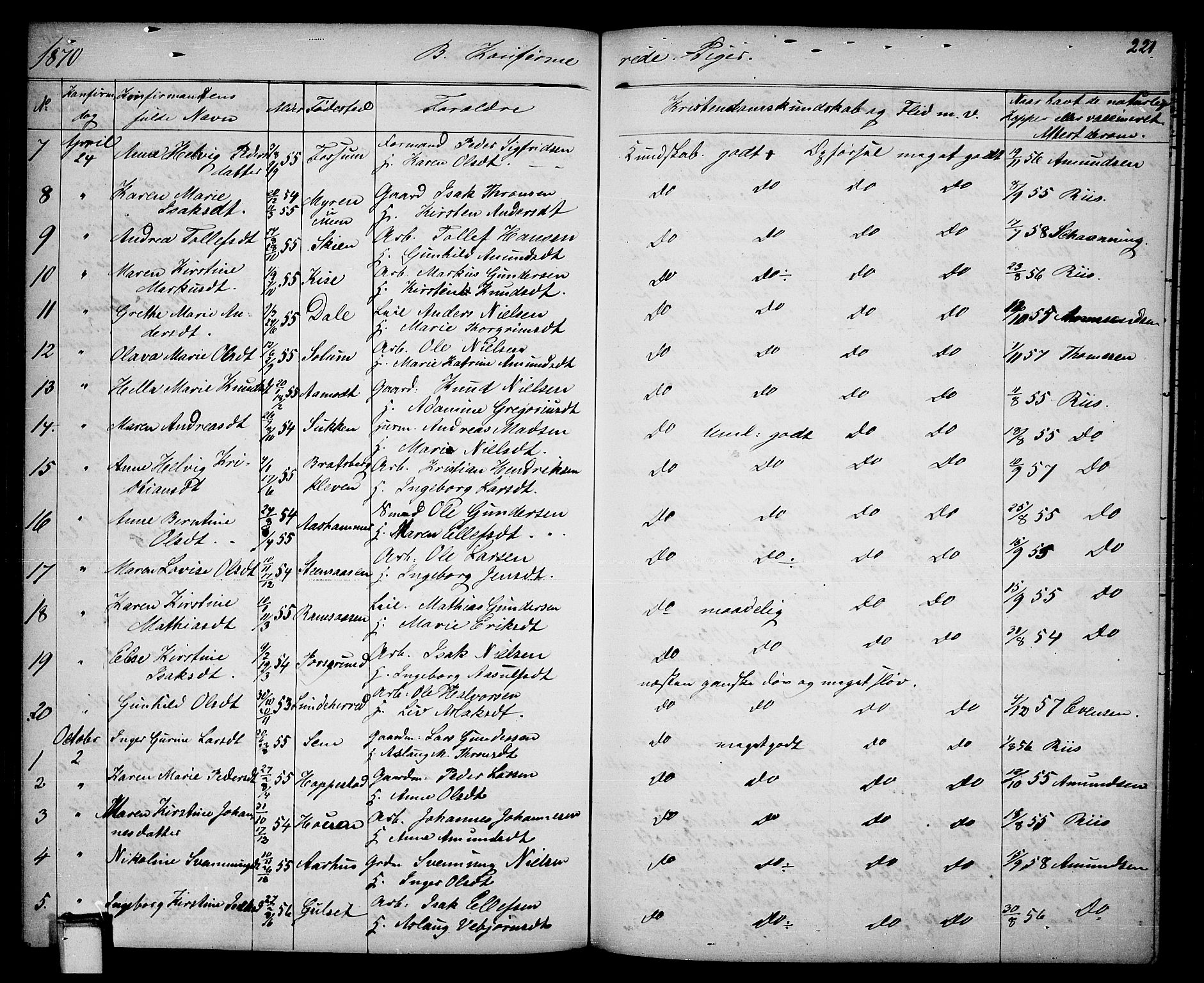 Gjerpen kirkebøker, SAKO/A-265/G/Ga/L0001: Parish register (copy) no. I 1, 1864-1882, p. 221