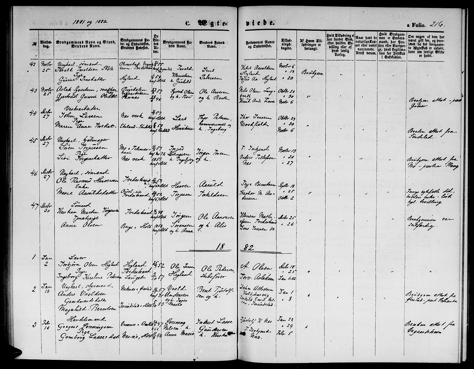 Holt sokneprestkontor, AV/SAK-1111-0021/F/Fb/L0009: Parish register (copy) no. B 9, 1871-1883, p. 216