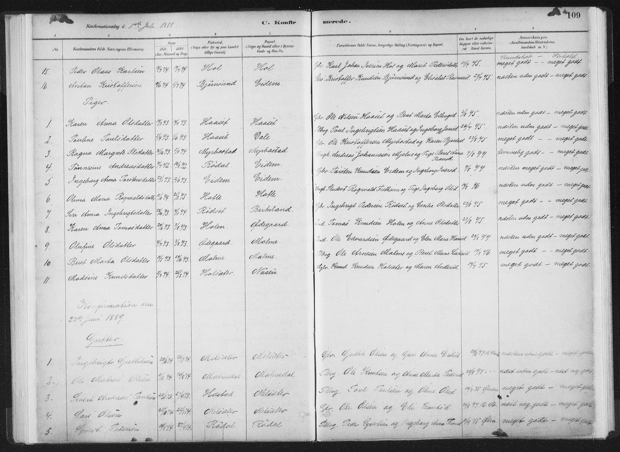 Ministerialprotokoller, klokkerbøker og fødselsregistre - Møre og Romsdal, AV/SAT-A-1454/564/L0740: Parish register (official) no. 564A01, 1880-1899, p. 109